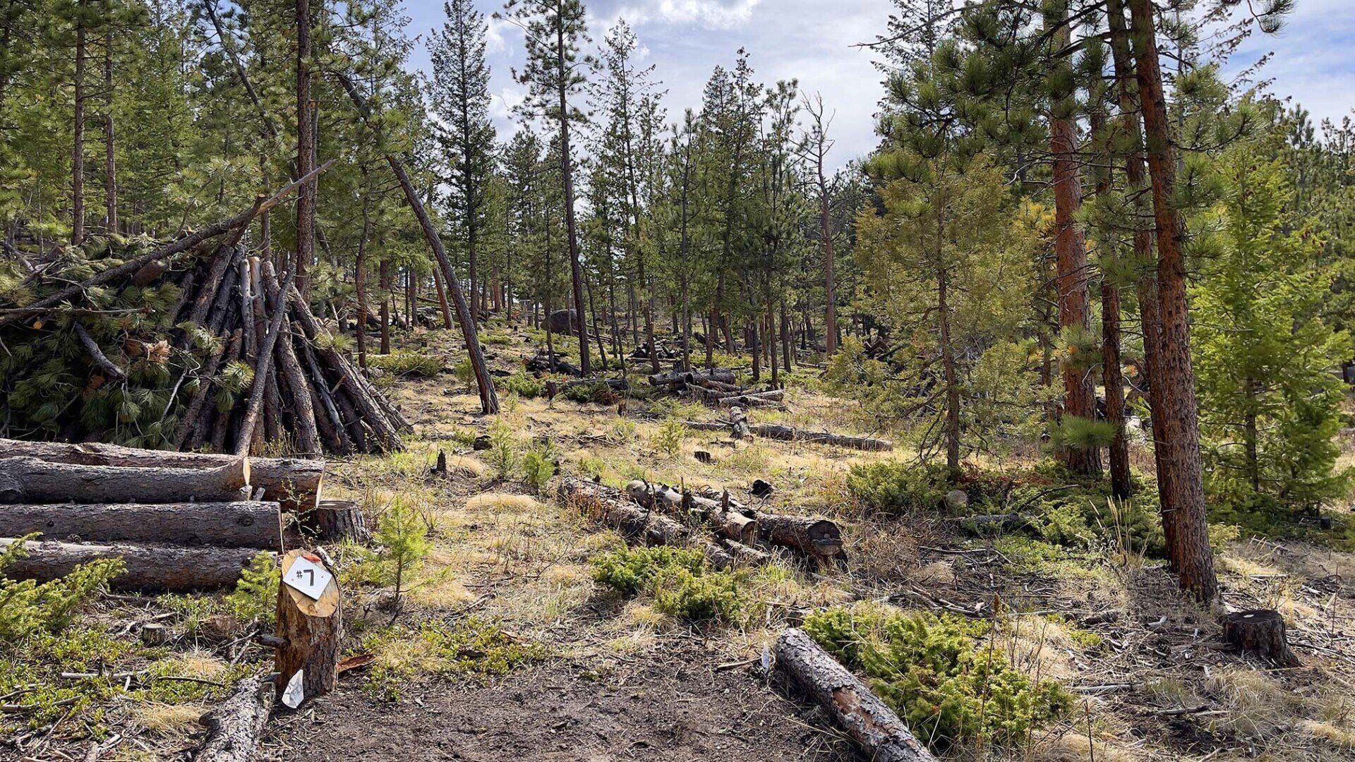 New disc golf hole 7 at Sundance Trail Guest Ranch May 2022 New disc golf hole 7 at Sundance Trail Guest Ranch May 2022
