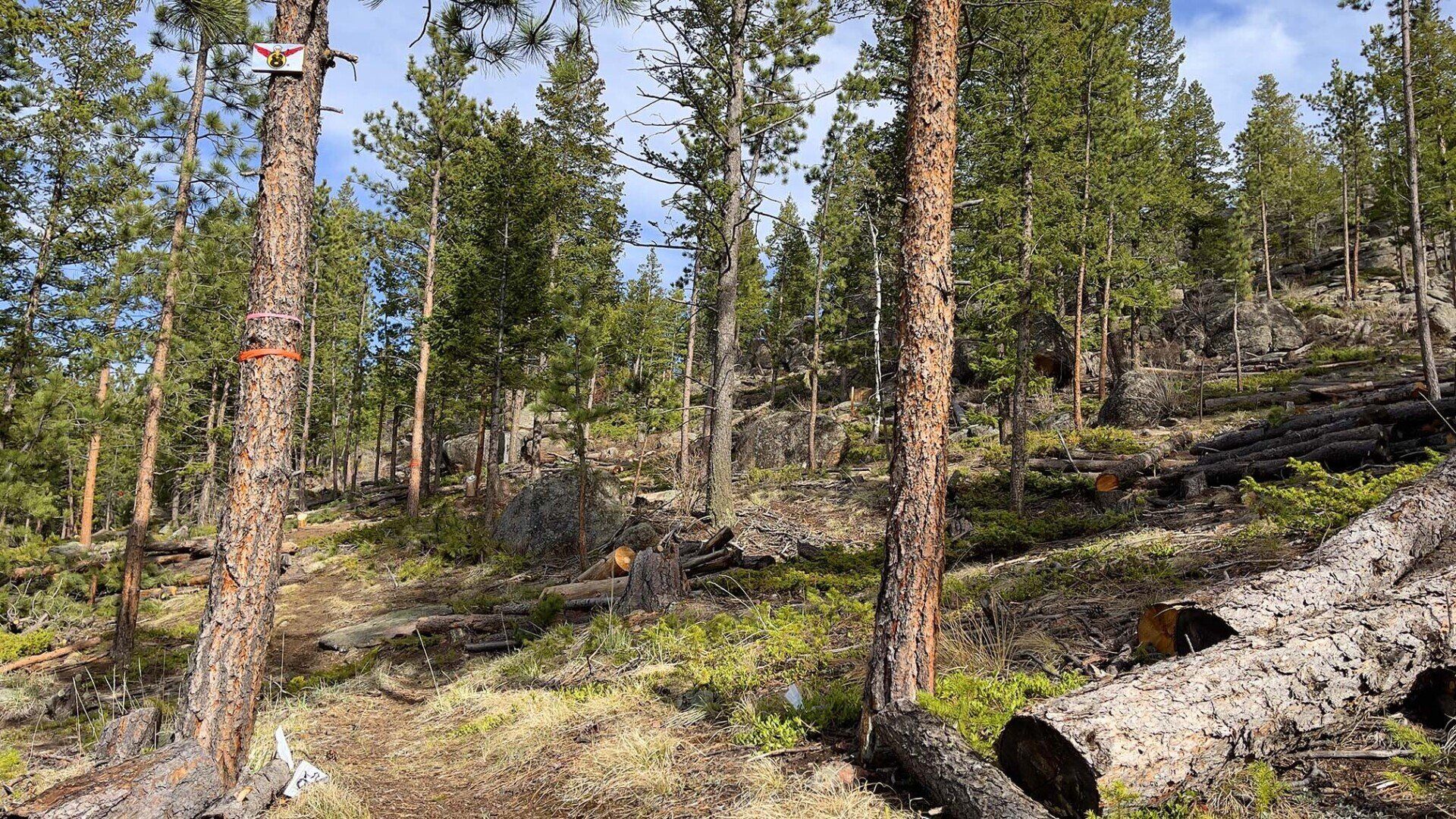 New disc golf hole 8 pro tee at Sundance Trail Guest Ranch May 2022 New disc golf hole 8 pro tee at Sundance Trail Guest Ranch May 2022