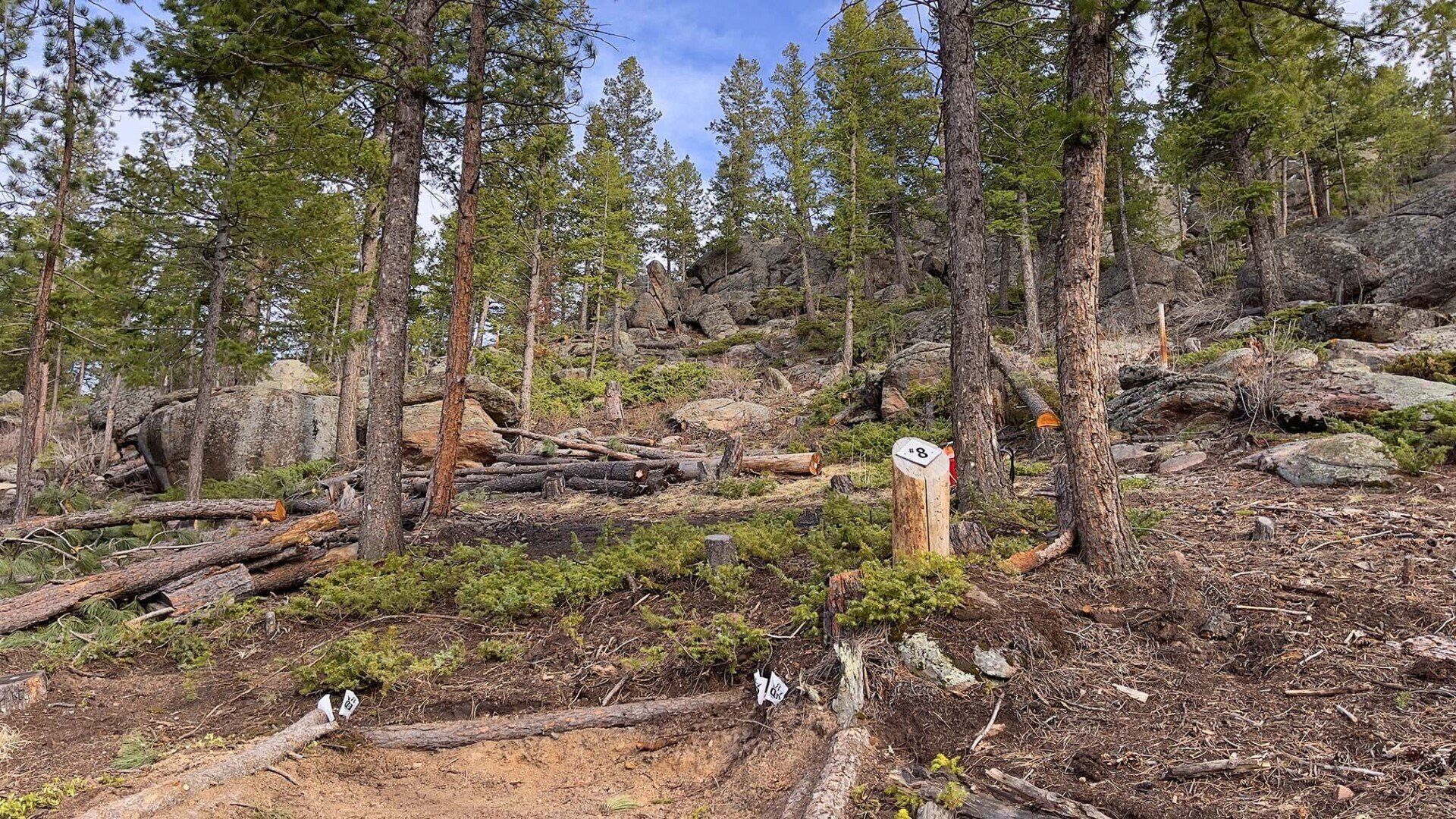 New disc golf hole 8 am tee at Sundance Trail Guest Ranch New disc golf hole 8 am tee at Sundance Trail Guest Ranch