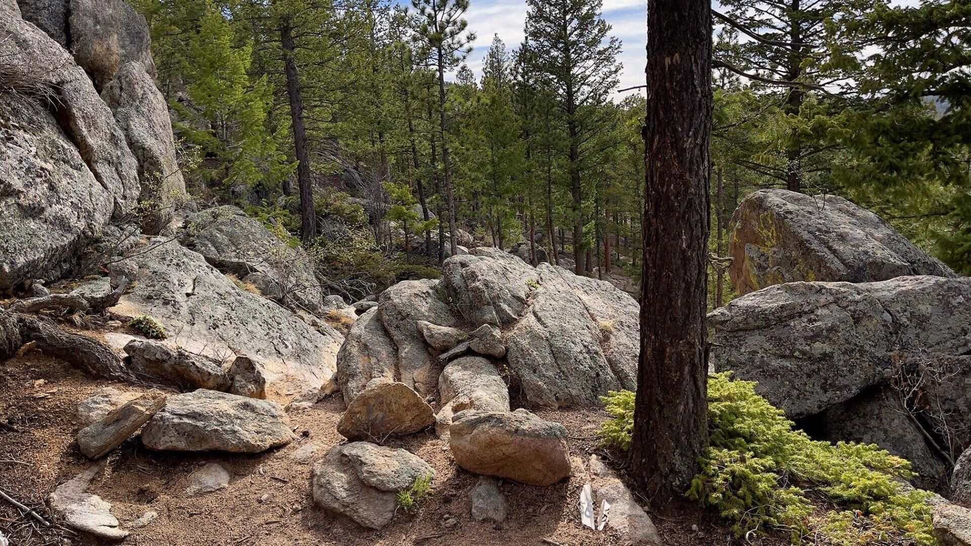 New disc golf hole 9 tee at Sundance Trail Guest Ranch May 2022 New disc golf hole 9 tee at Sundance Trail Guest Ranch May 2022