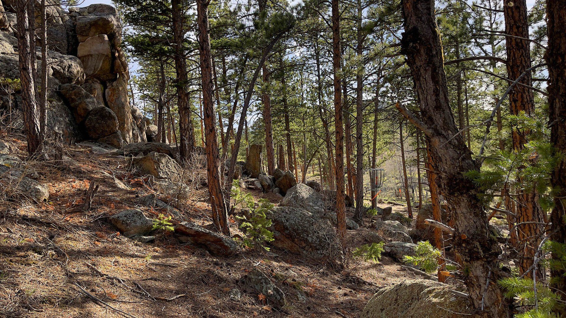 New disc golf hole 10 basket at Sundance Trail Guest Ranch May 2022 New disc golf hole 10 basket at Sundance Trail Guest Ranch May 2022