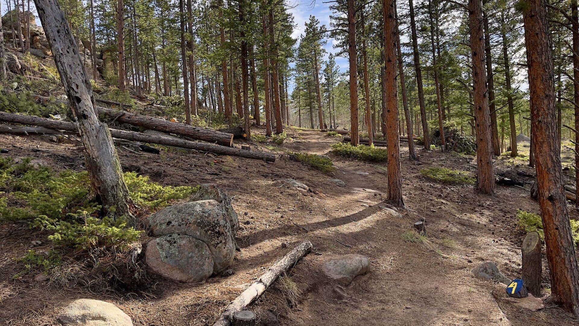 New disc golf hole 10 at Sundance Trail Guest Ranch May 2022 New disc golf hole 10 at Sundance Trail Guest Ranch May 2022