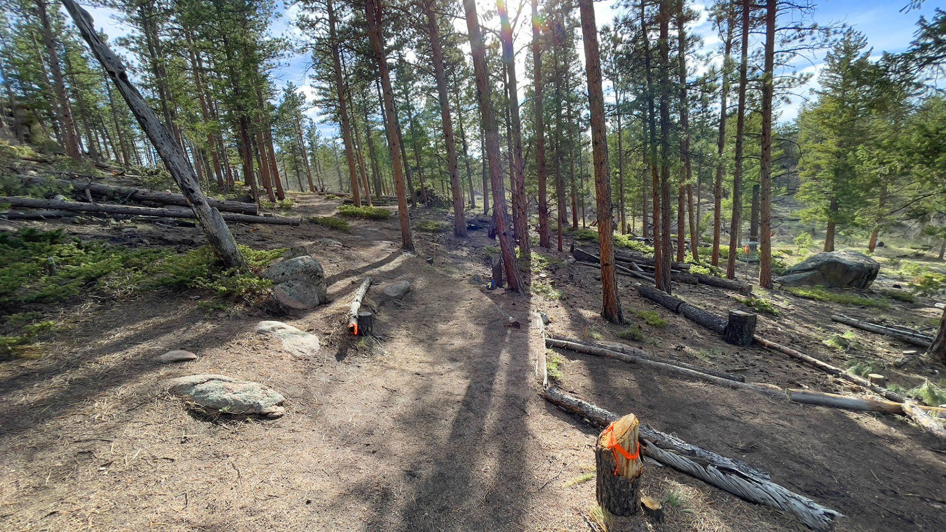 New disc golf tees 10 and 13 pro at Sundance Trail Guest Ranch May 2022 New disc golf tees 10 and 13 pro at Sundance Trail Guest Ranch May 2022