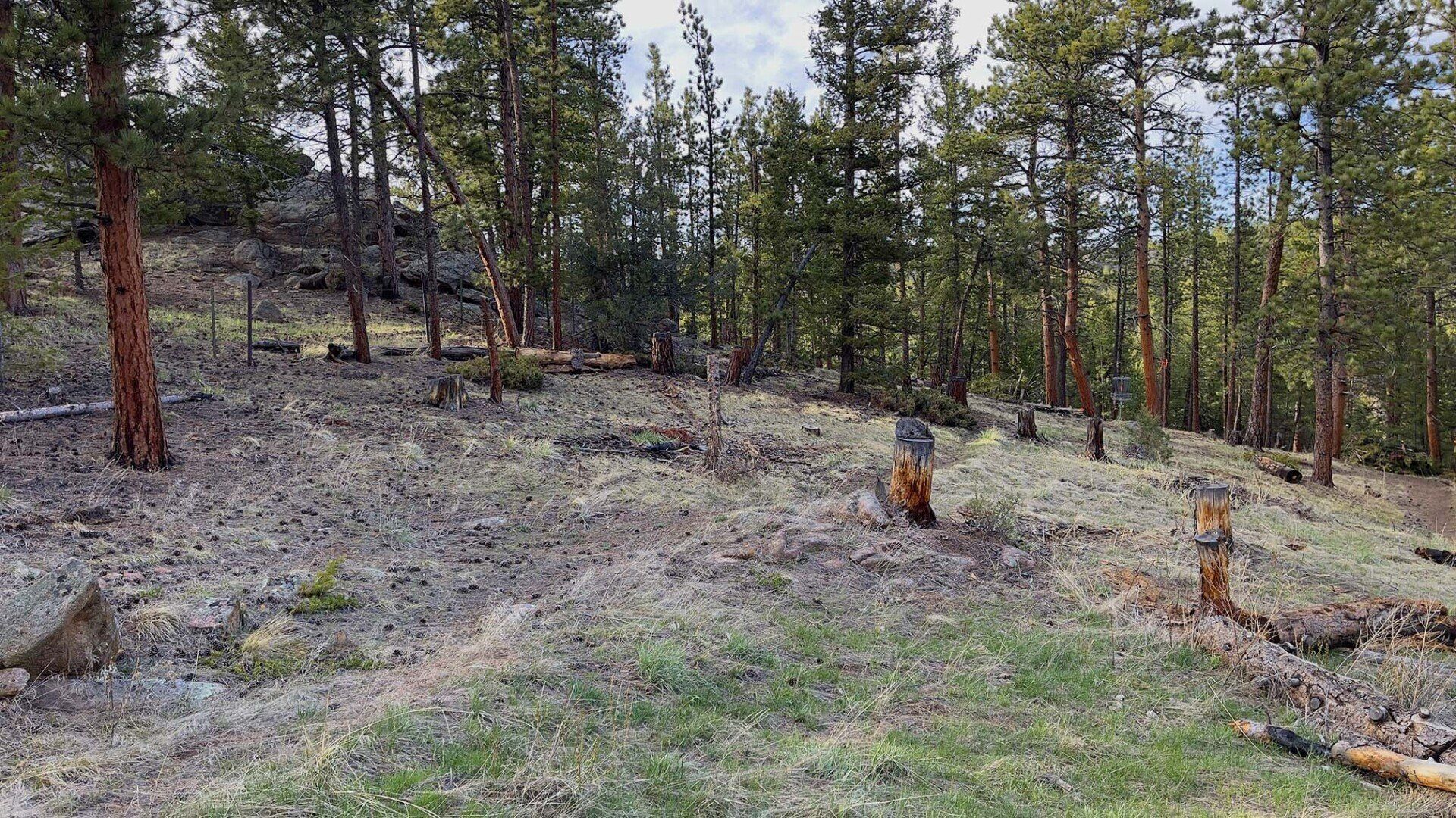 New disc golf hole 11 fairway at Sundance Trail Guest Ranch May 2022 New disc golf hole 11 fairway at Sundance Trail Guest Ranch May 2022