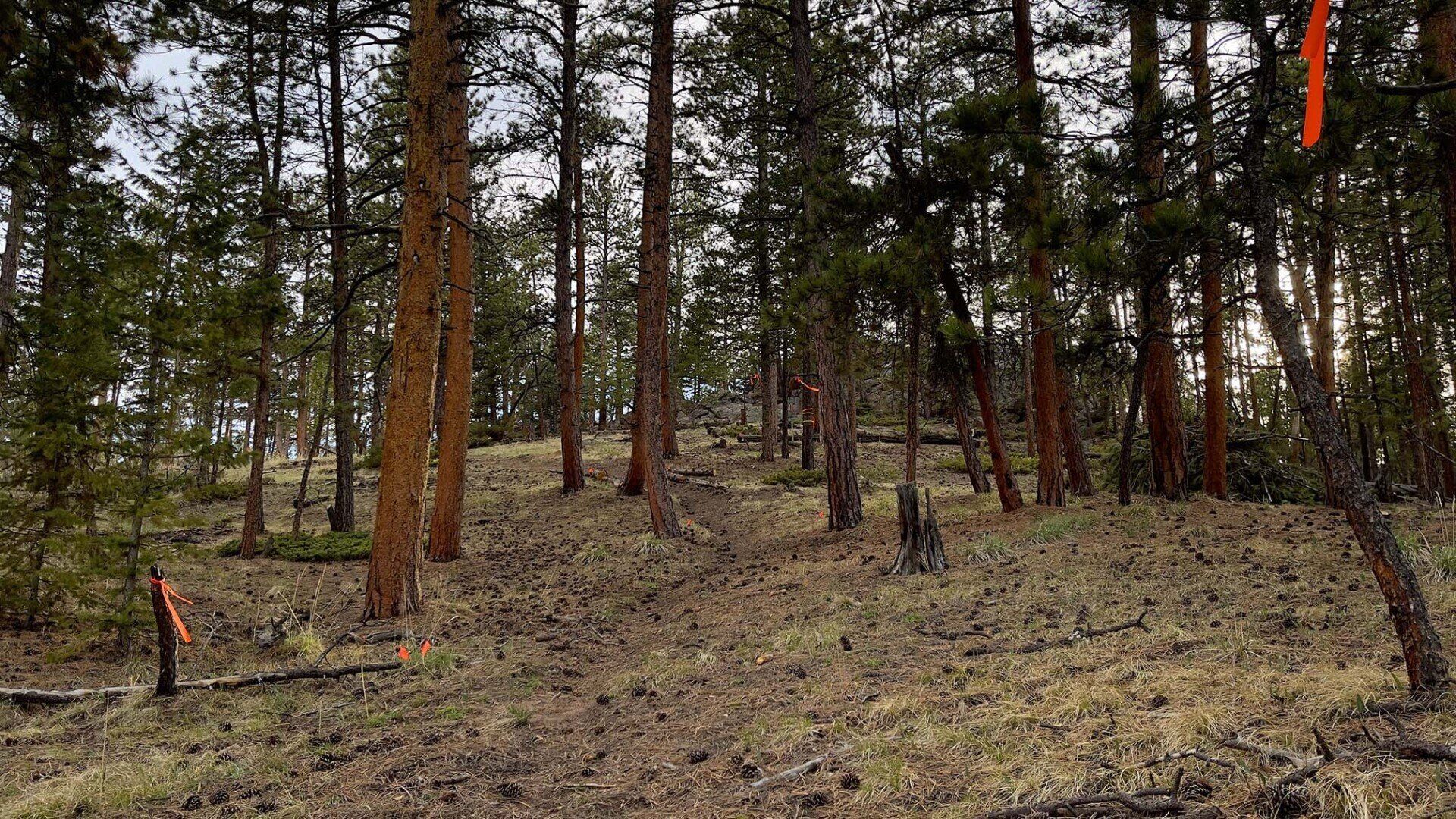 new disc golf hole 11 path to hole 12 at Sundance Trail Guest Ranch May 2022 new disc golf hole 11 path to hole 12 at Sundance Trail Guest Ranch May 2022
