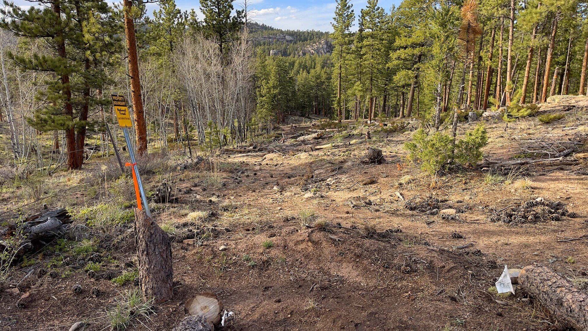New disc golf hole 11 Pro tee at Sundance Trail Guest Ranch May 2022