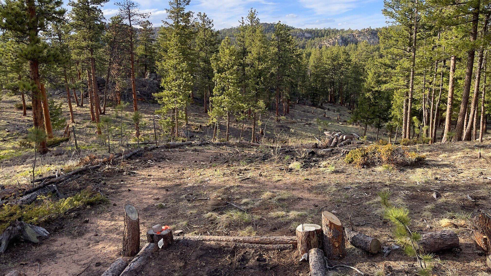 New disc golf hole 11 am tee at Sundance Trail Guest Ranch May 2022 New disc golf hole 11 am tee at Sundance Trail Guest Ranch May 2022