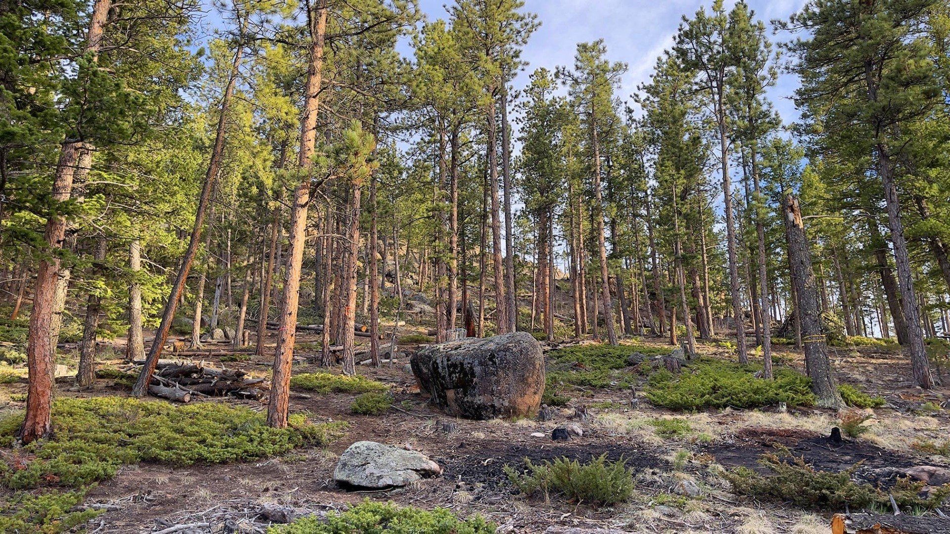 New disc golf hole 12 fairway at Sundance Trail Guest Ranch May 2022 New disc golf hole 12 fairway at Sundance Trail Guest Ranch May 2022