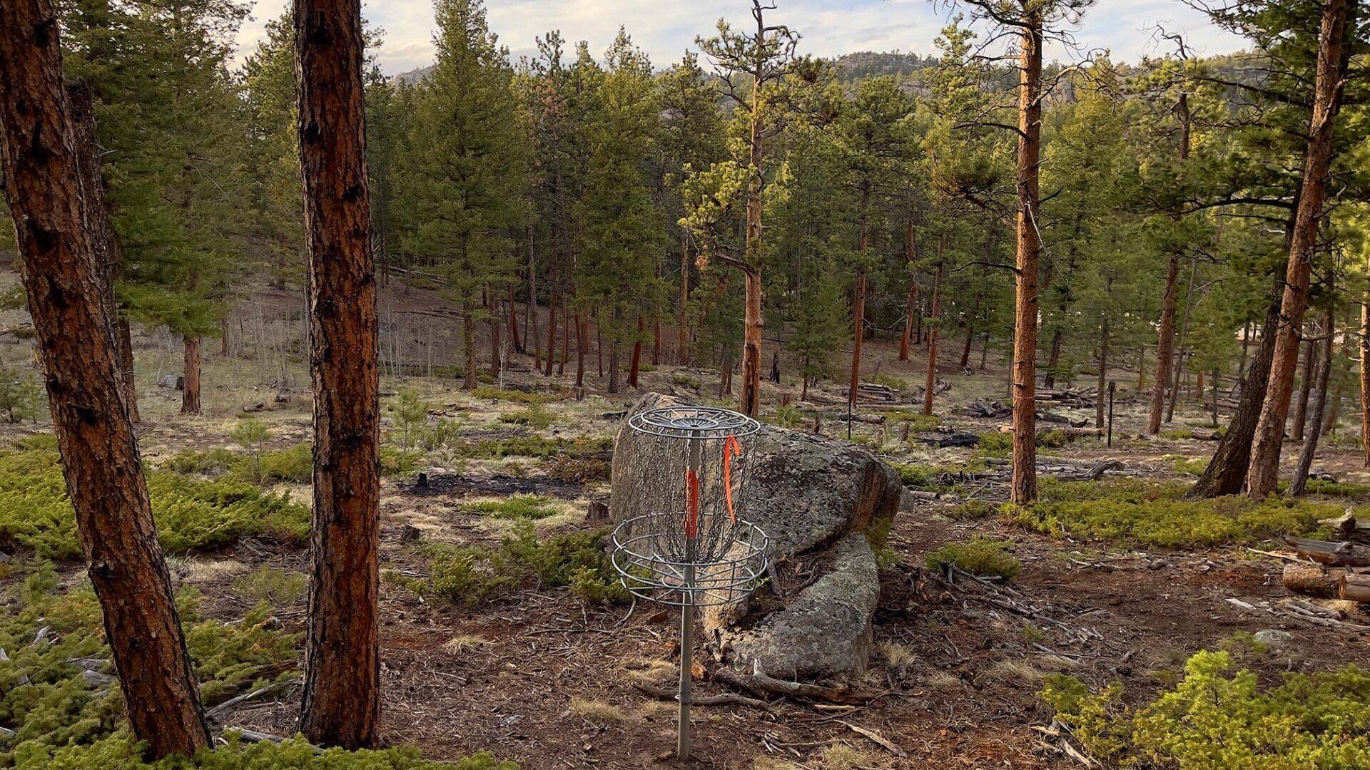 New disc golf hole 12 basket at Sundance Trail Guest Ranch May 2022 New disc golf hole 12 basket at Sundance Trail Guest Ranch May 2022