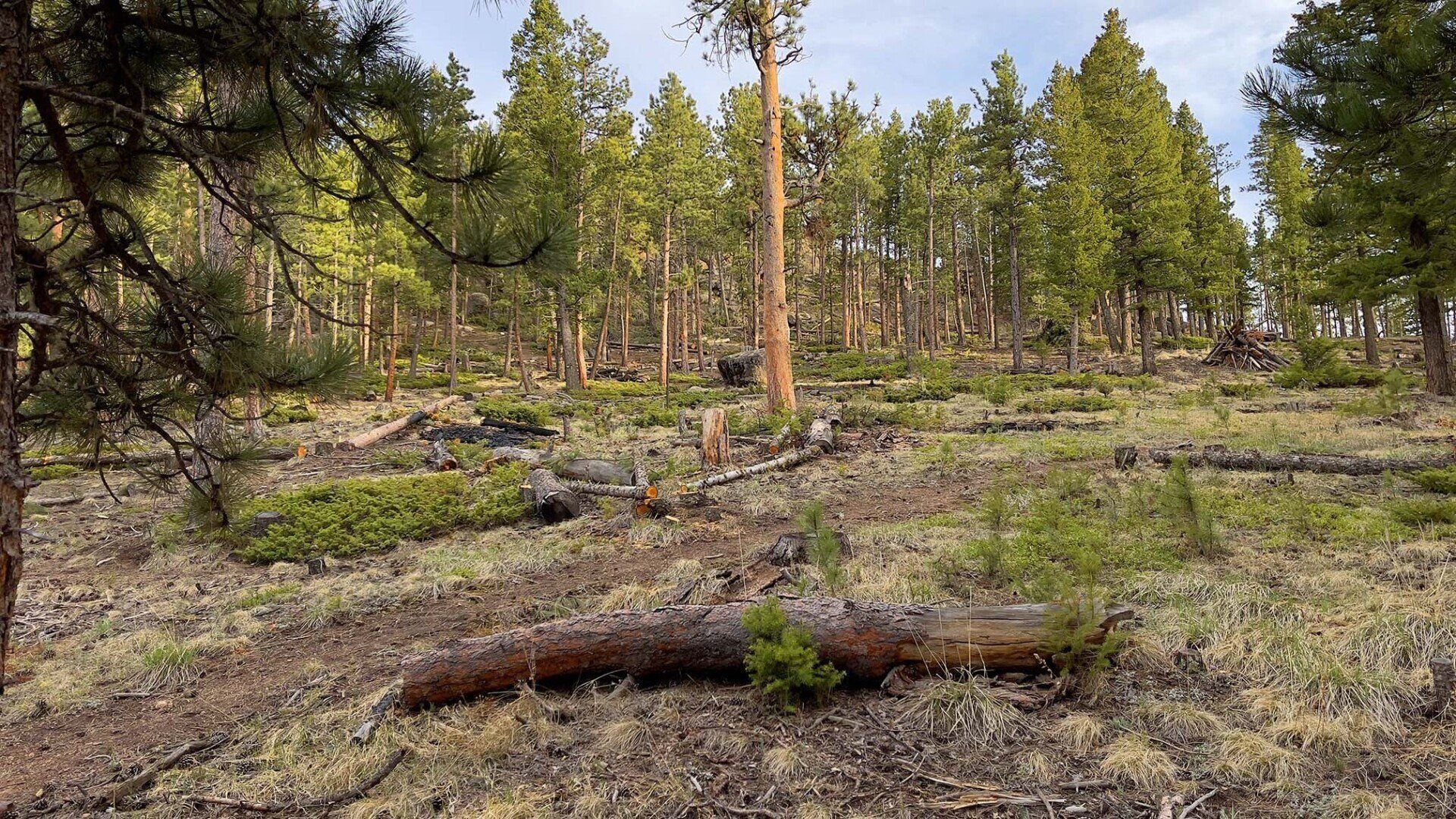 New disc golf hole 12 Rec tee at Sundance Trail Guest Ranch May 2022 New disc golf hole 12 Rec tee at Sundance Trail Guest Ranch May 2022