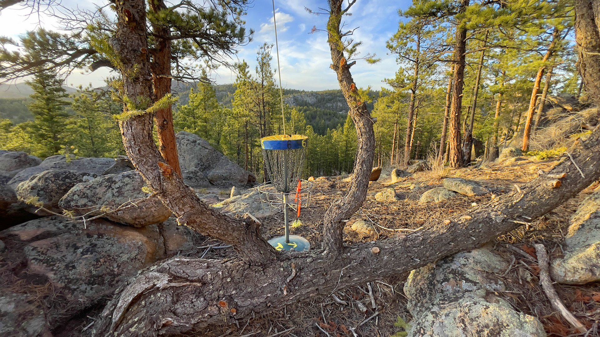 New disc golf hole 13 basket view at Sundance Trail Guest Ranch May 2022