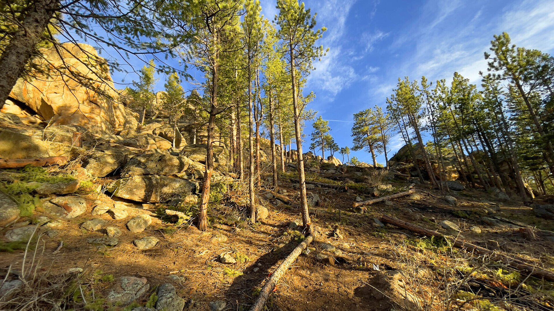 New disc golf hole 13 Rec tee at Sundance Trail Guest Ranch May 2022 New disc golf hole 13 Rec tee at Sundance Trail Guest Ranch May 2022