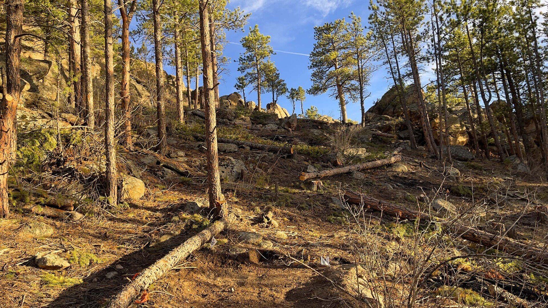 New disc golf hole 13 Rec tee at Sundance Trail Guest Ranch May 2022 New disc golf hole 13 Rec tee at Sundance Trail Guest Ranch May 2022