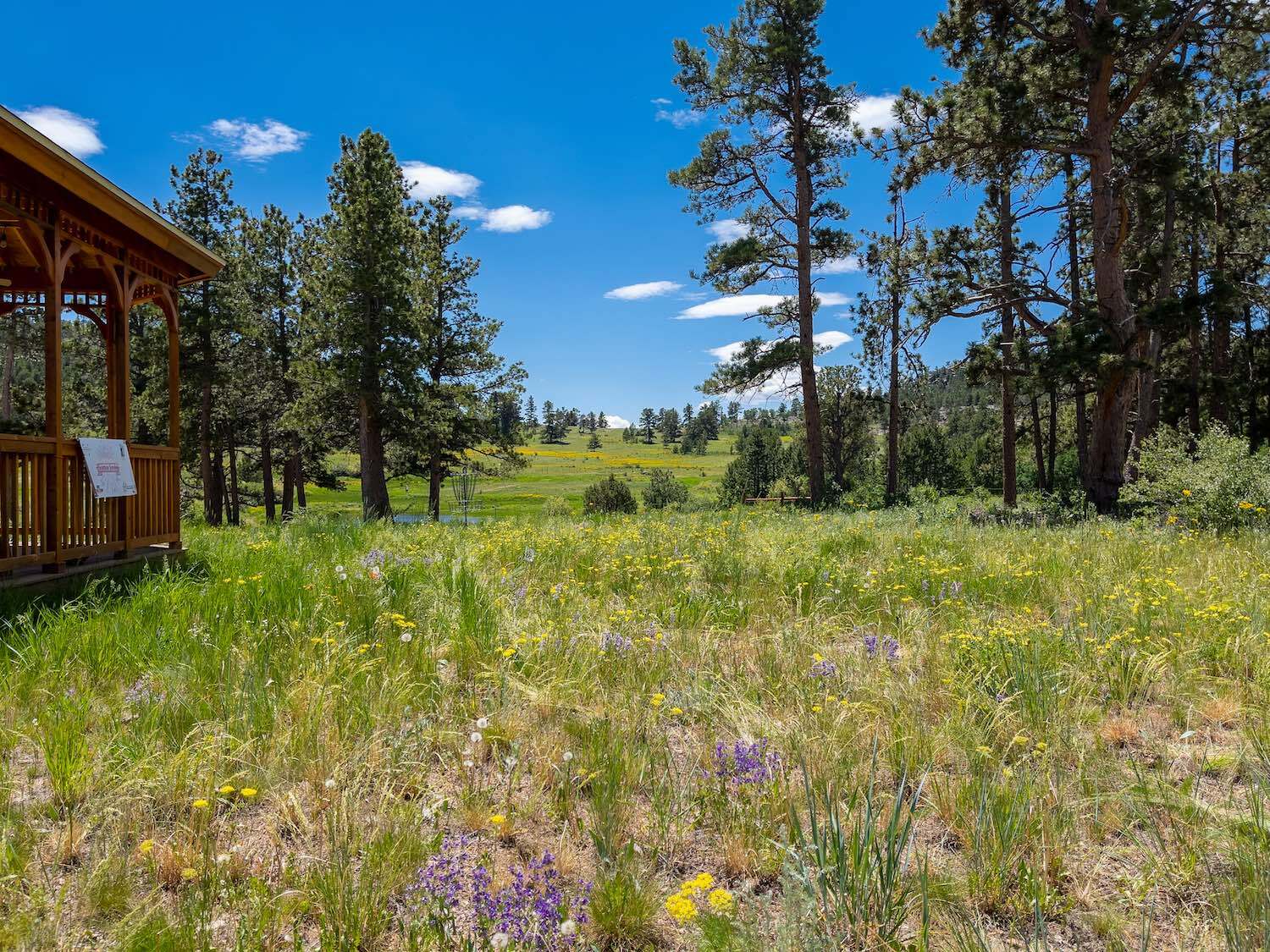 Three 2-day disc golf tournaments at Sundance Trail Guest Ranch