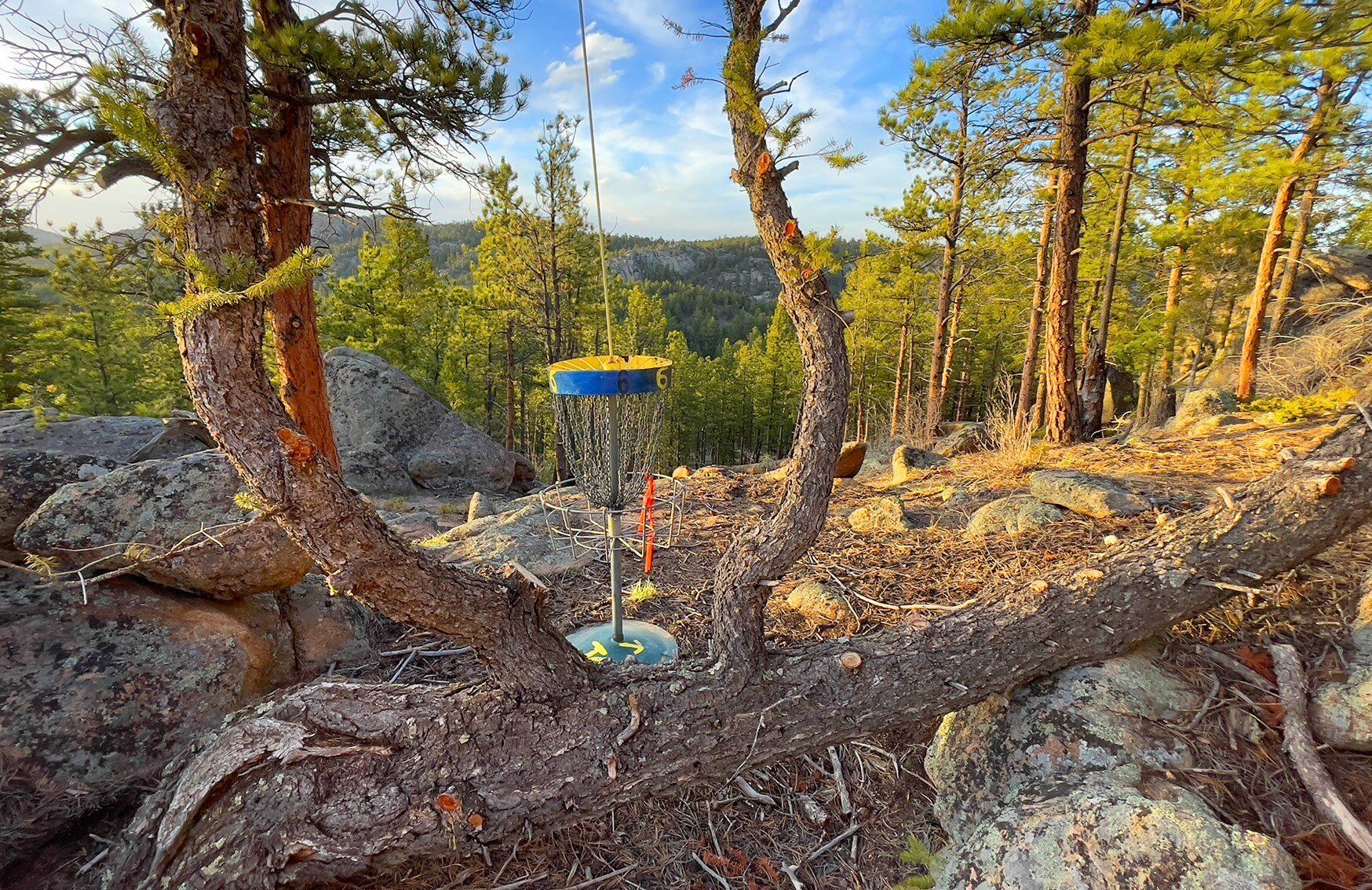 New disc golf hole 13 basket at Sundance Trail Guest Ranch May 2022