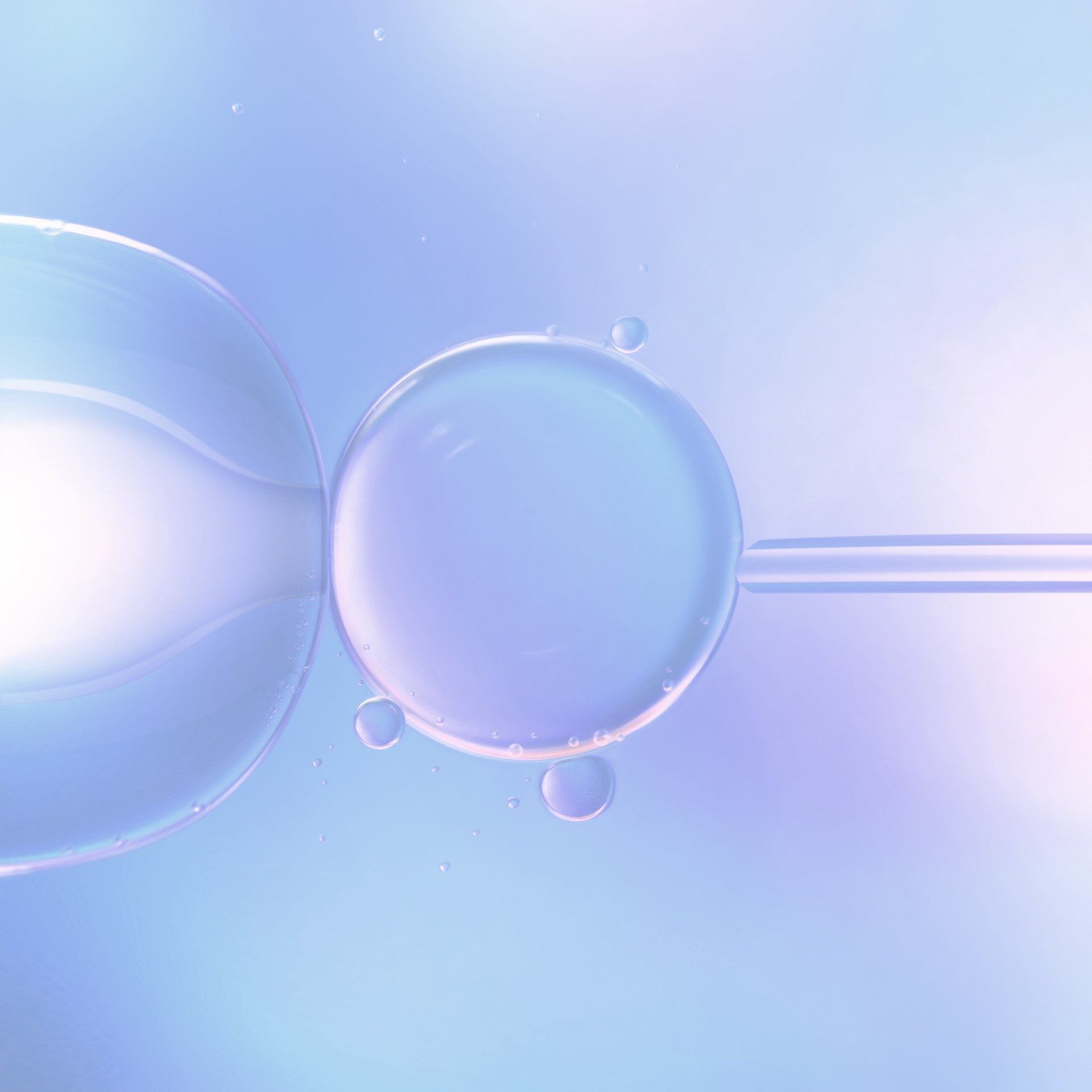 Vorbereitung und Begleitung auf die künstliche Befruchtung