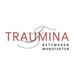 Logo Traumina