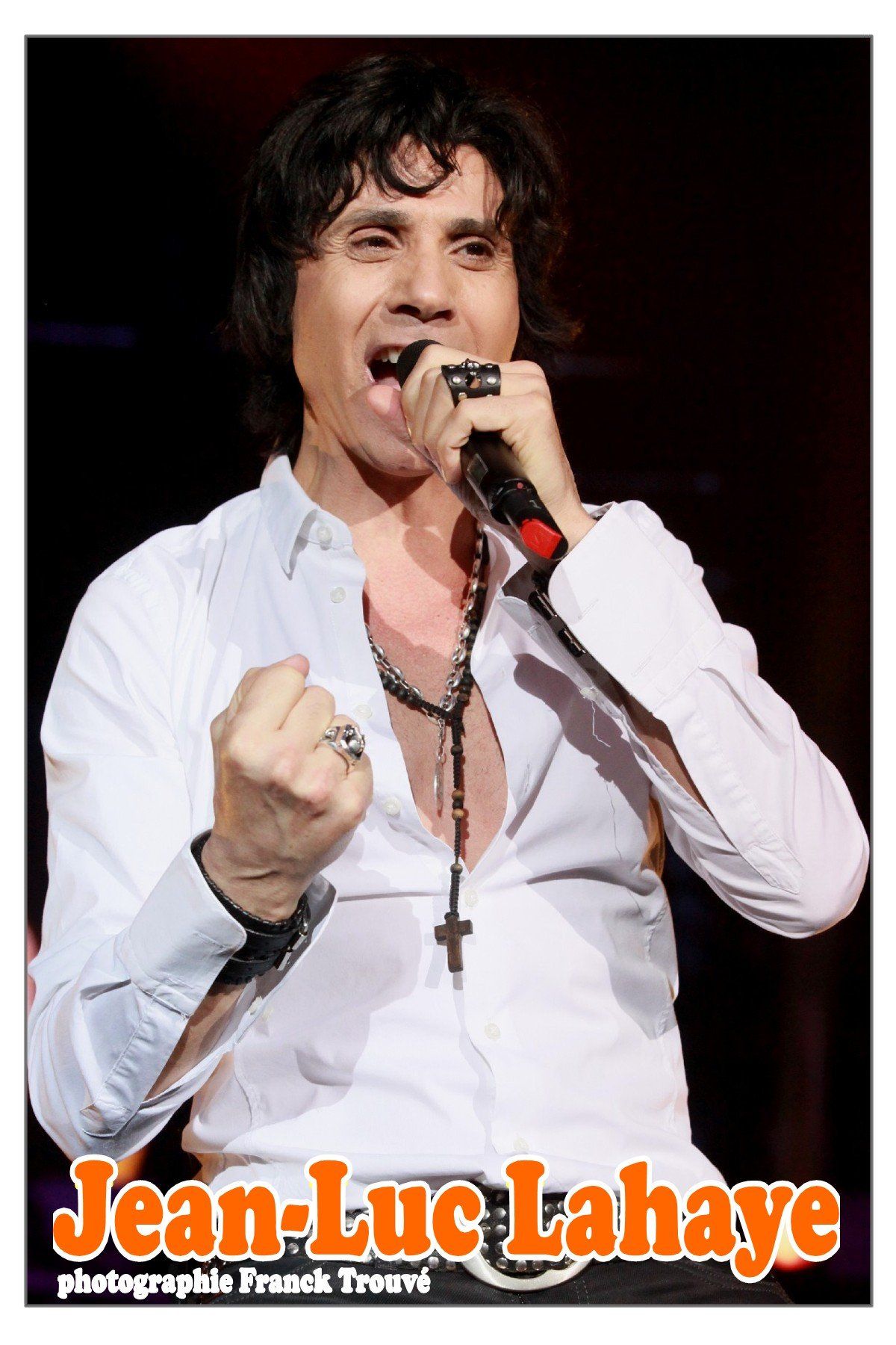 jean luc lahaye,photo,concert,franck trouvé,