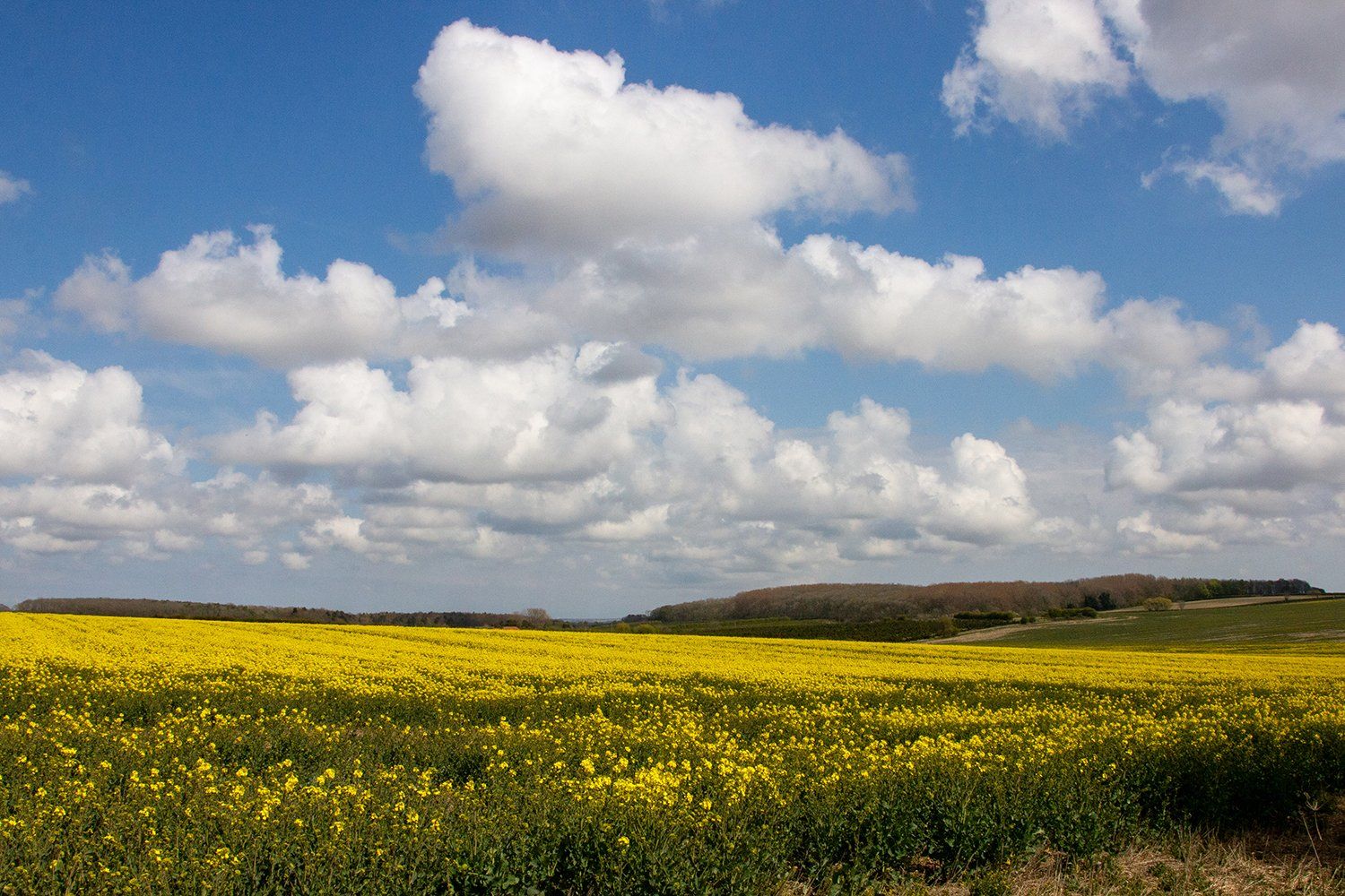 a lincolnshire sky, and landscape