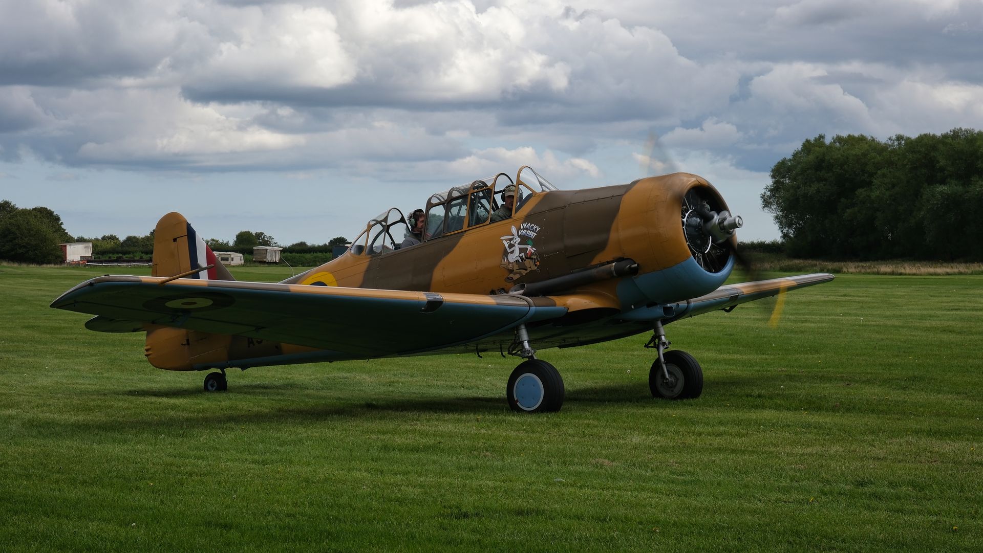 a 1953 T6 Harvard aircraft