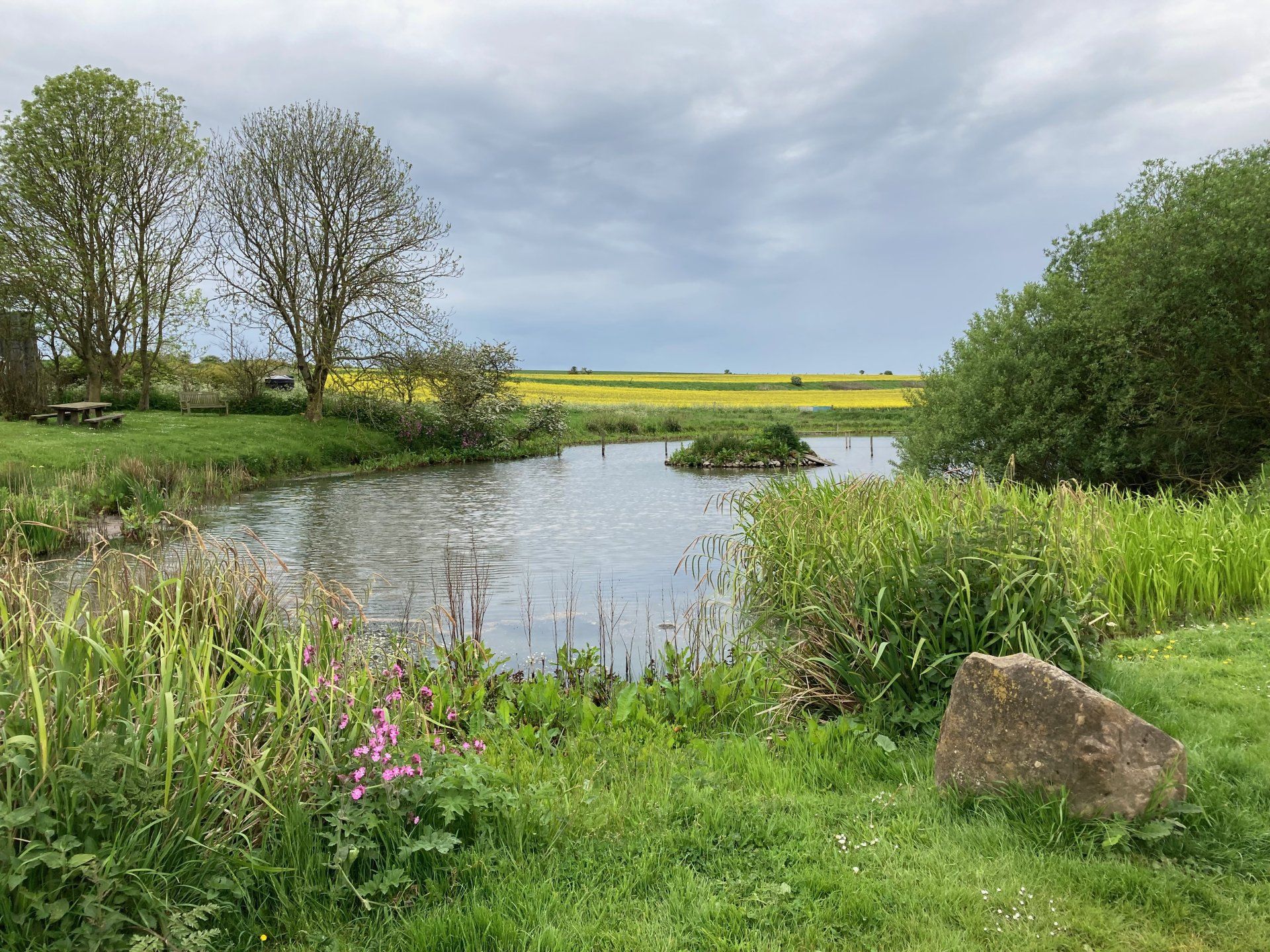 a view over buckton village pond