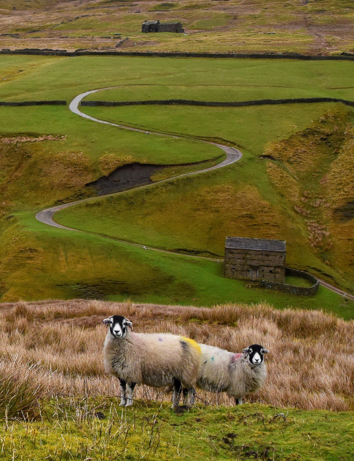 a quiet road in swaledale
