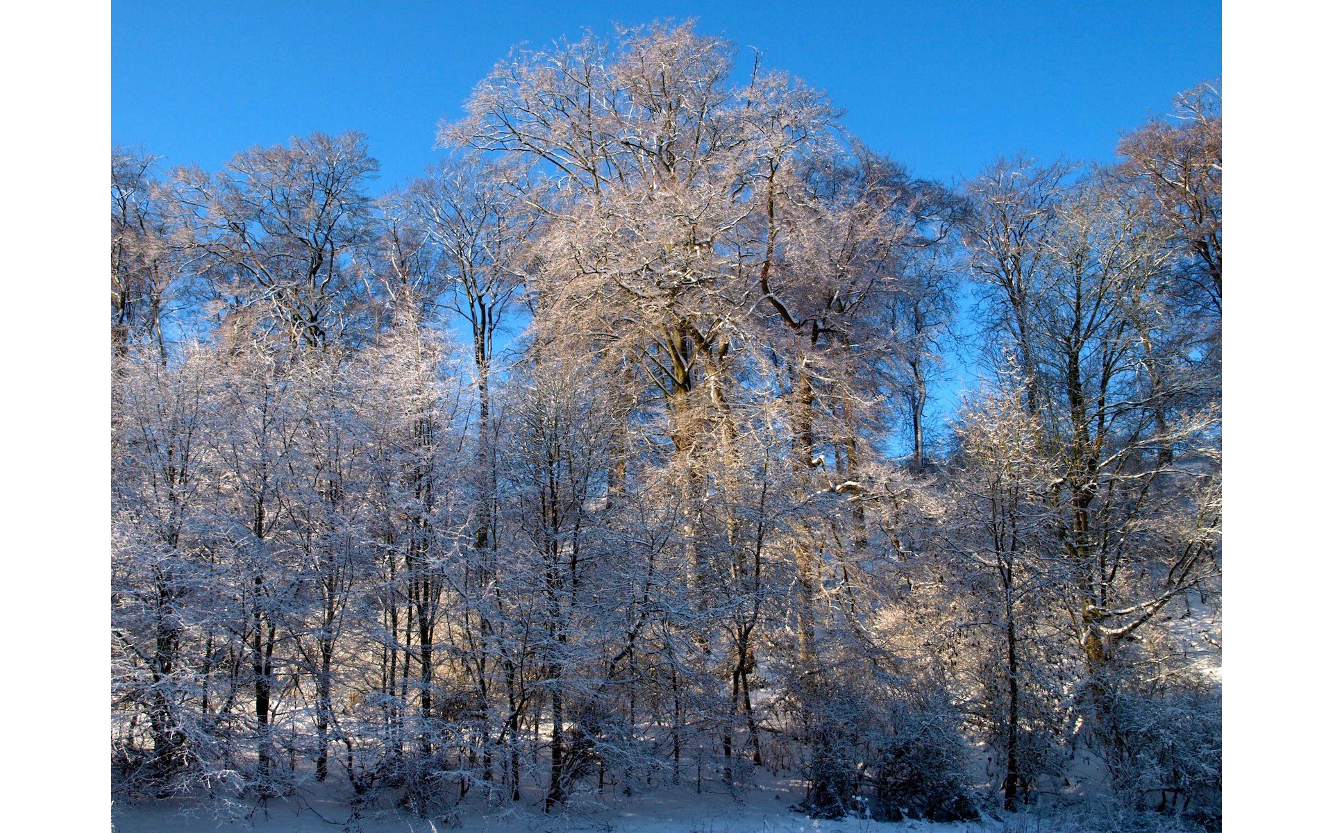 photos from hubbards hills, louth
