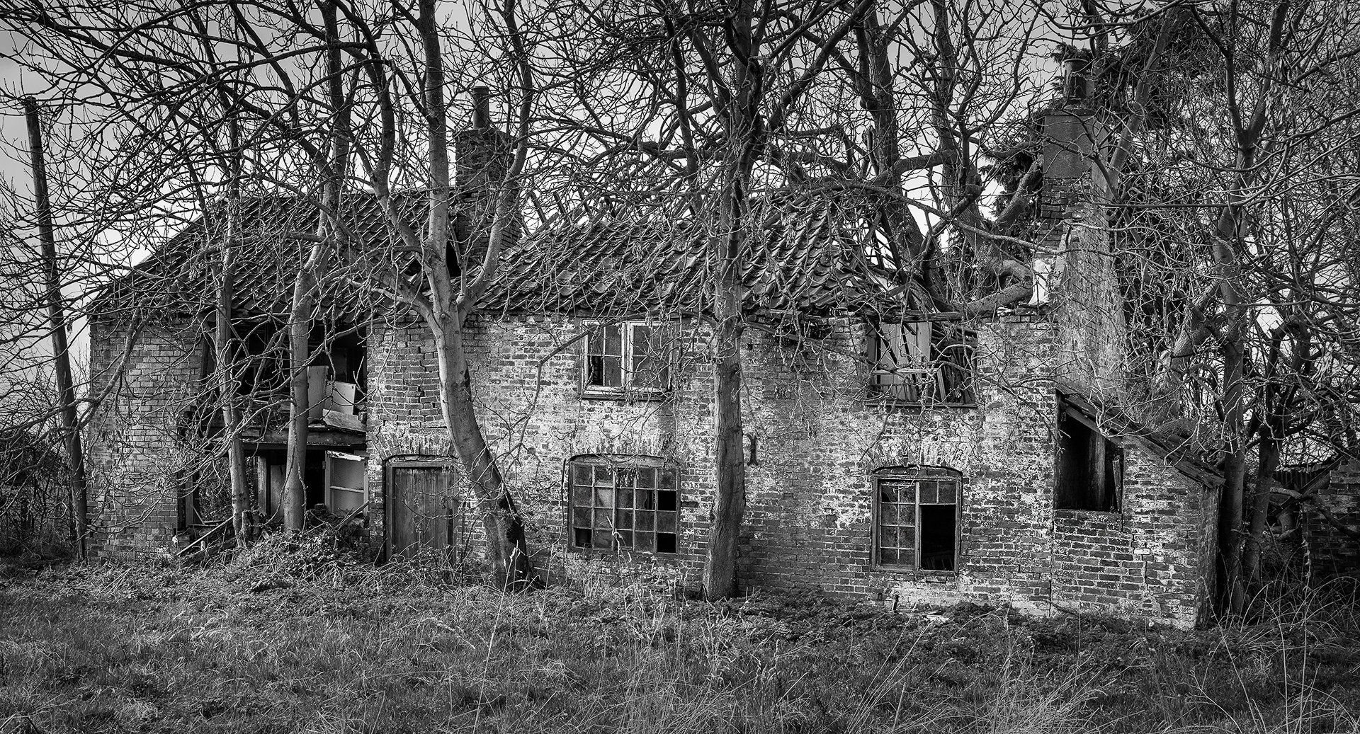 a derelict public house becoming overgrown
