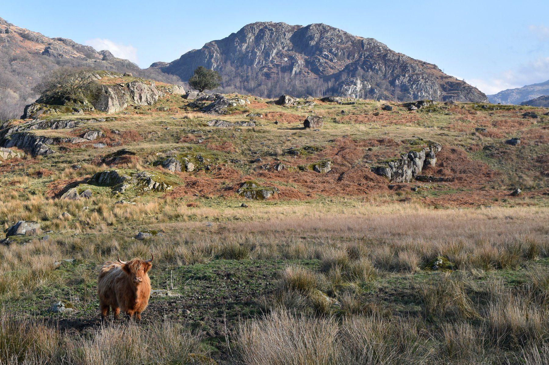 a landscape view of cumbria