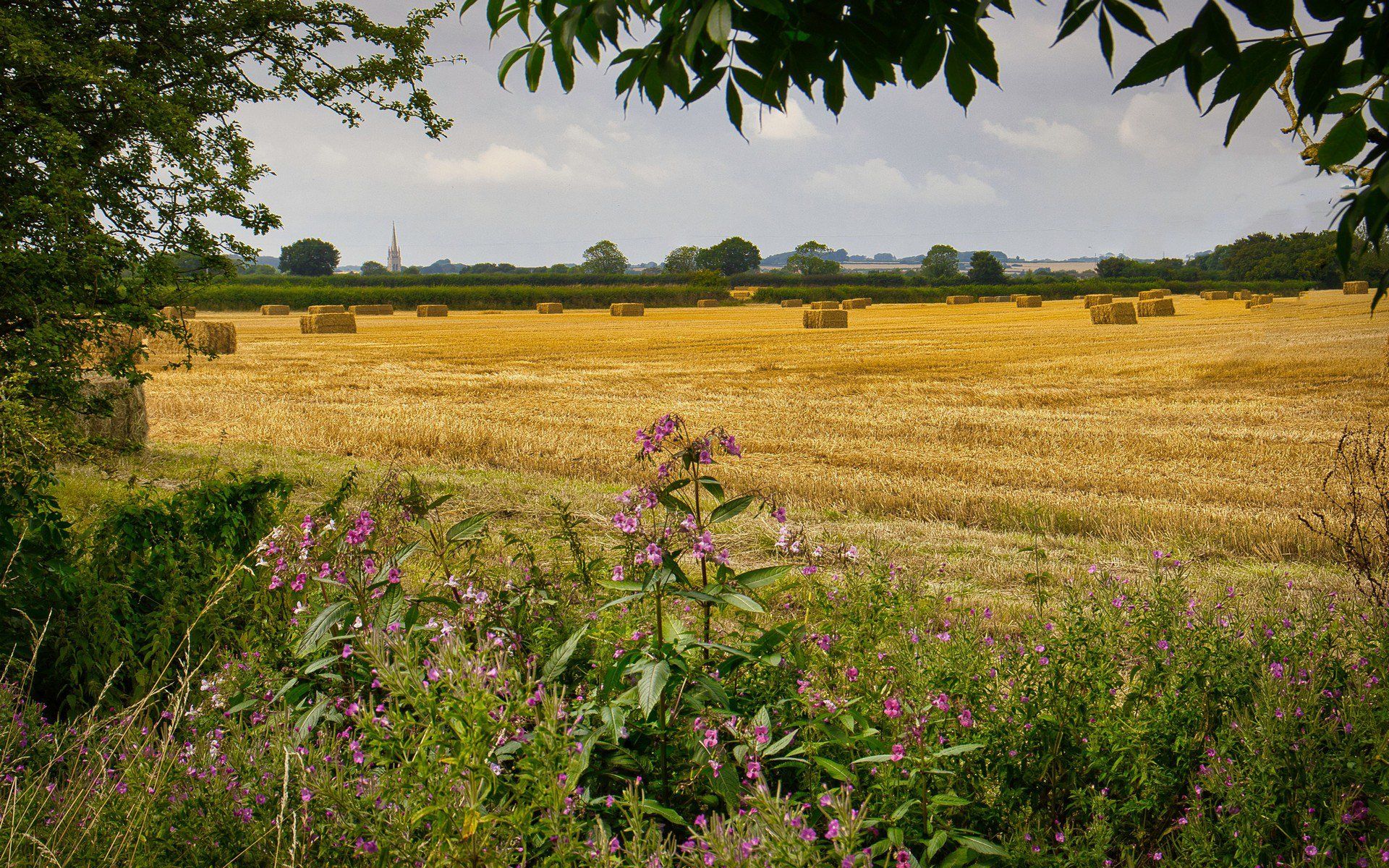 a lincolnshire post harvest landscape
