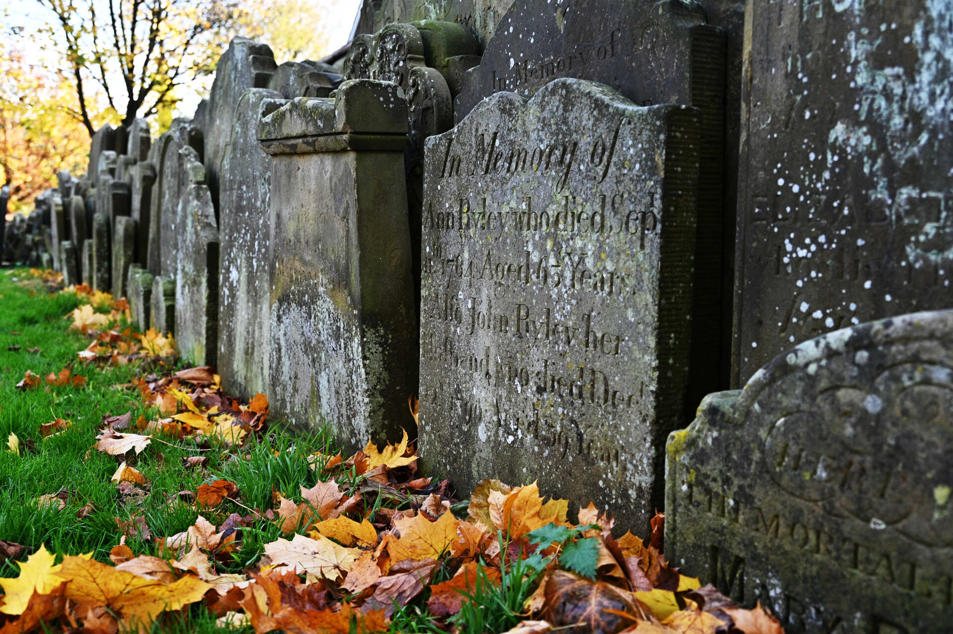 Photo by Paul Gray rows of gravestones on saint mary's burial ground