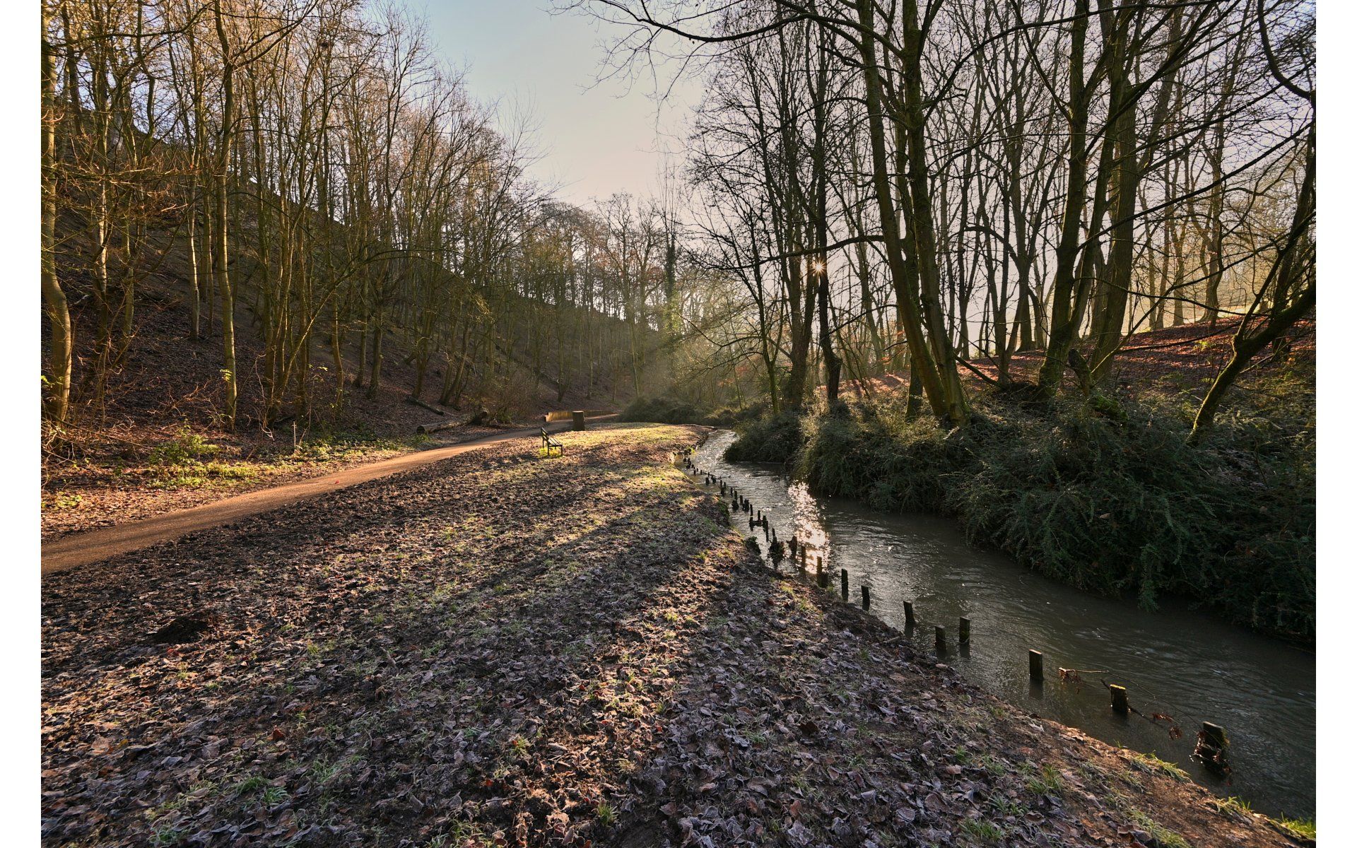 photos from hubbards hills, louth