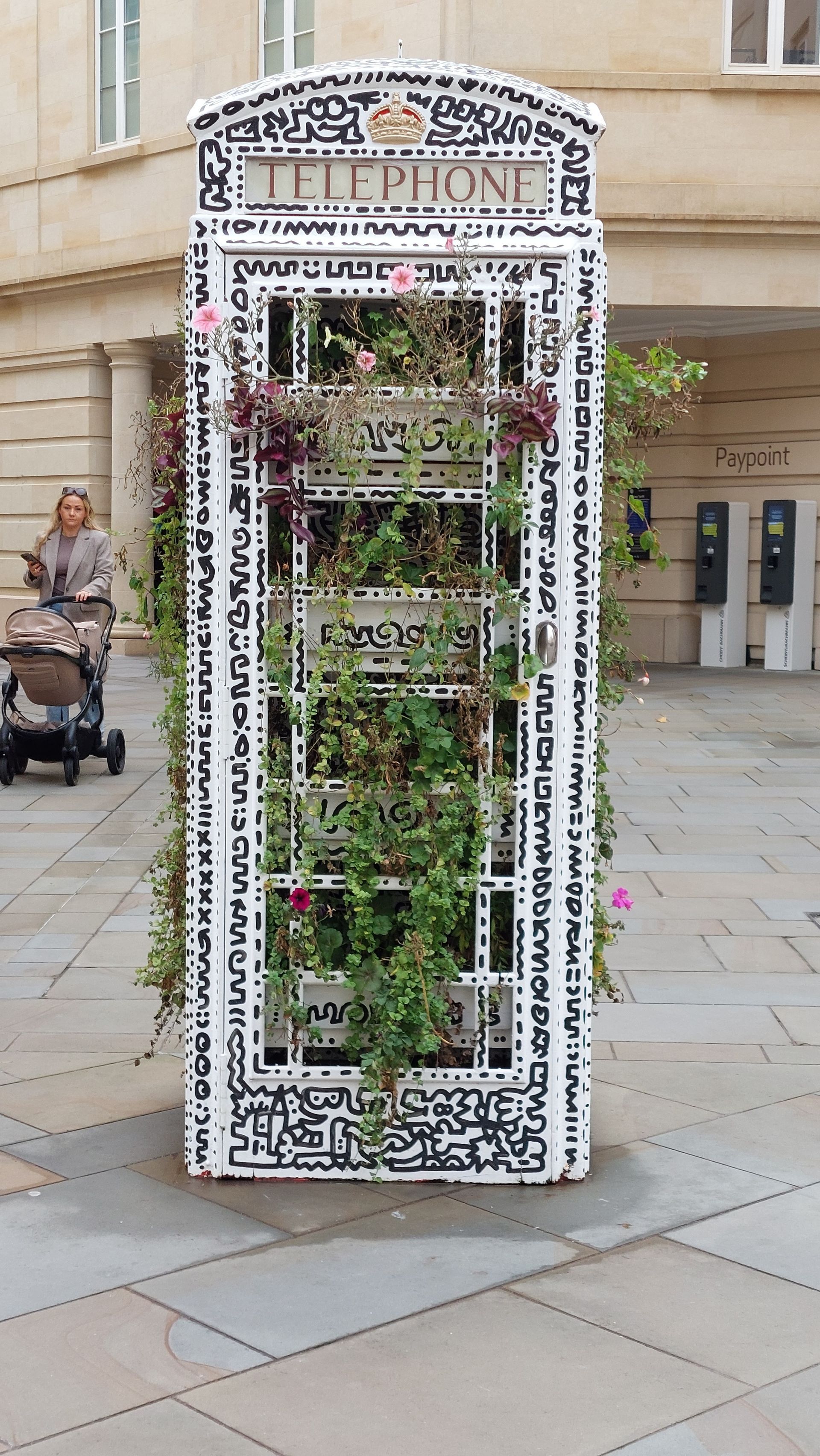 Vertical Garden in a phone box