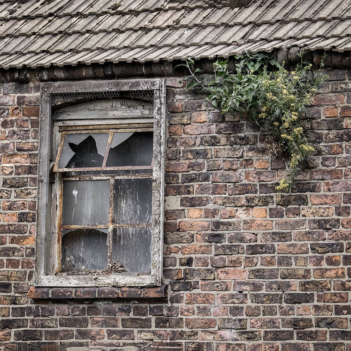 a broken window