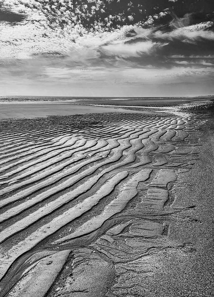 a monochrome beach scene