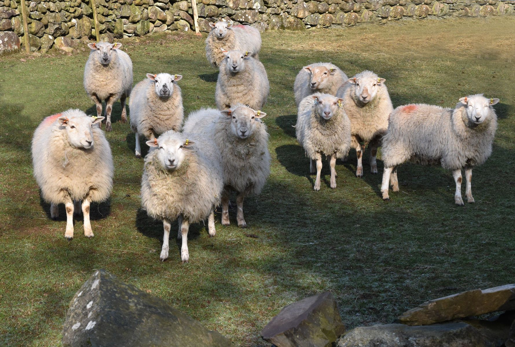 photos from around Cumbria