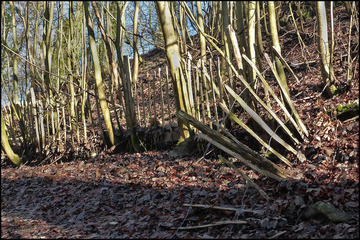 photos from around hubbards hills