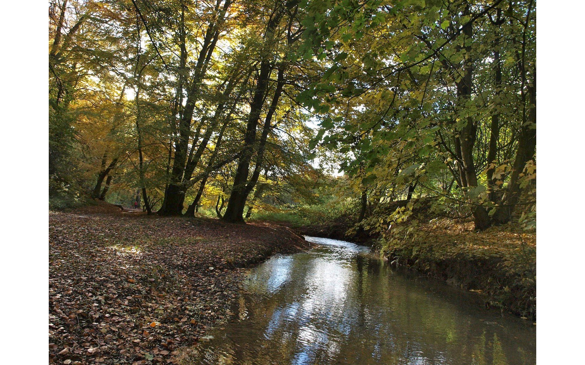 photos from hubbards hills, louth