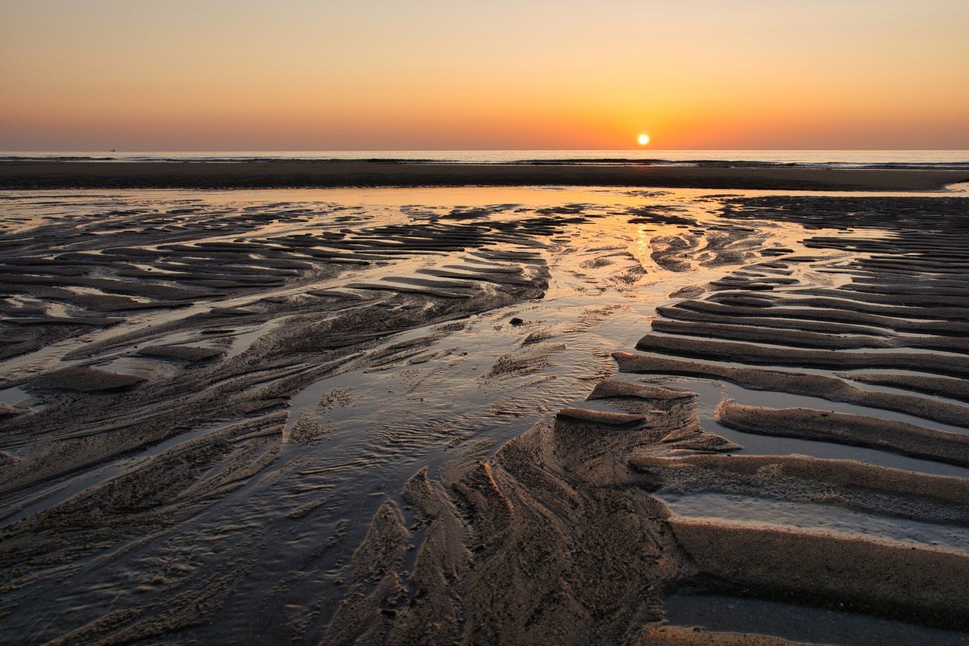 sunrise on the beach