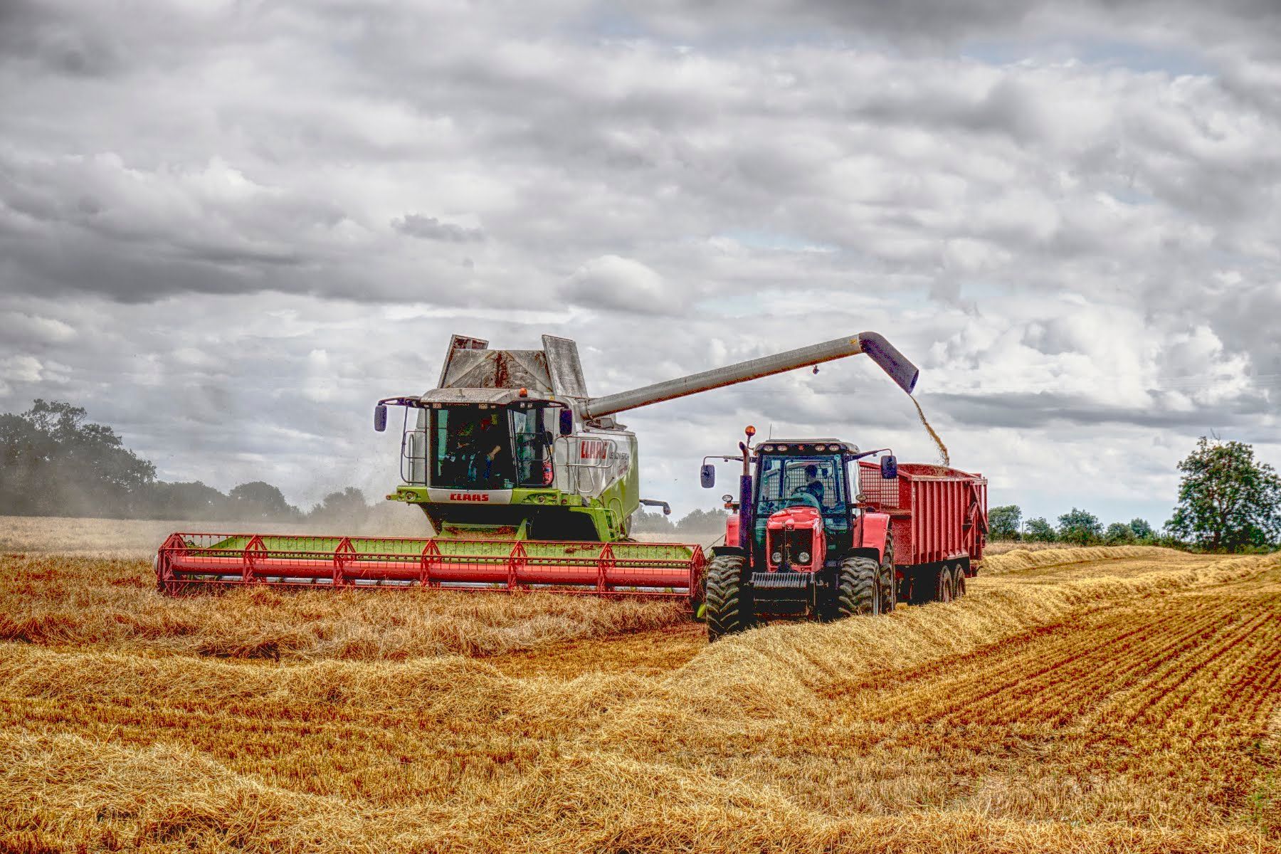 Harvest Time a combine harvester, and tractor in a field