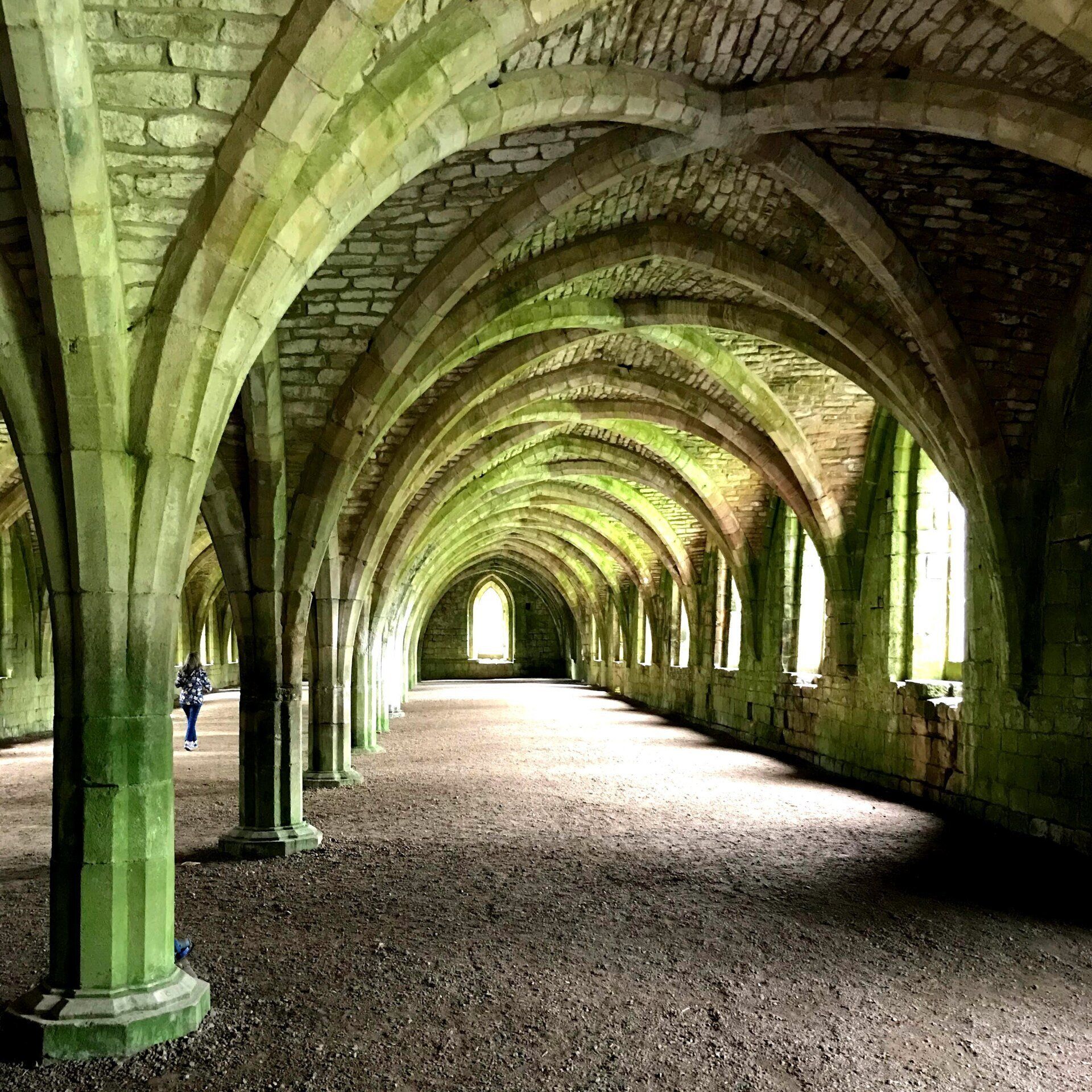 Fountains Abbey vaulting by Derek Smith a vaulted ceiling at fountains abbey
