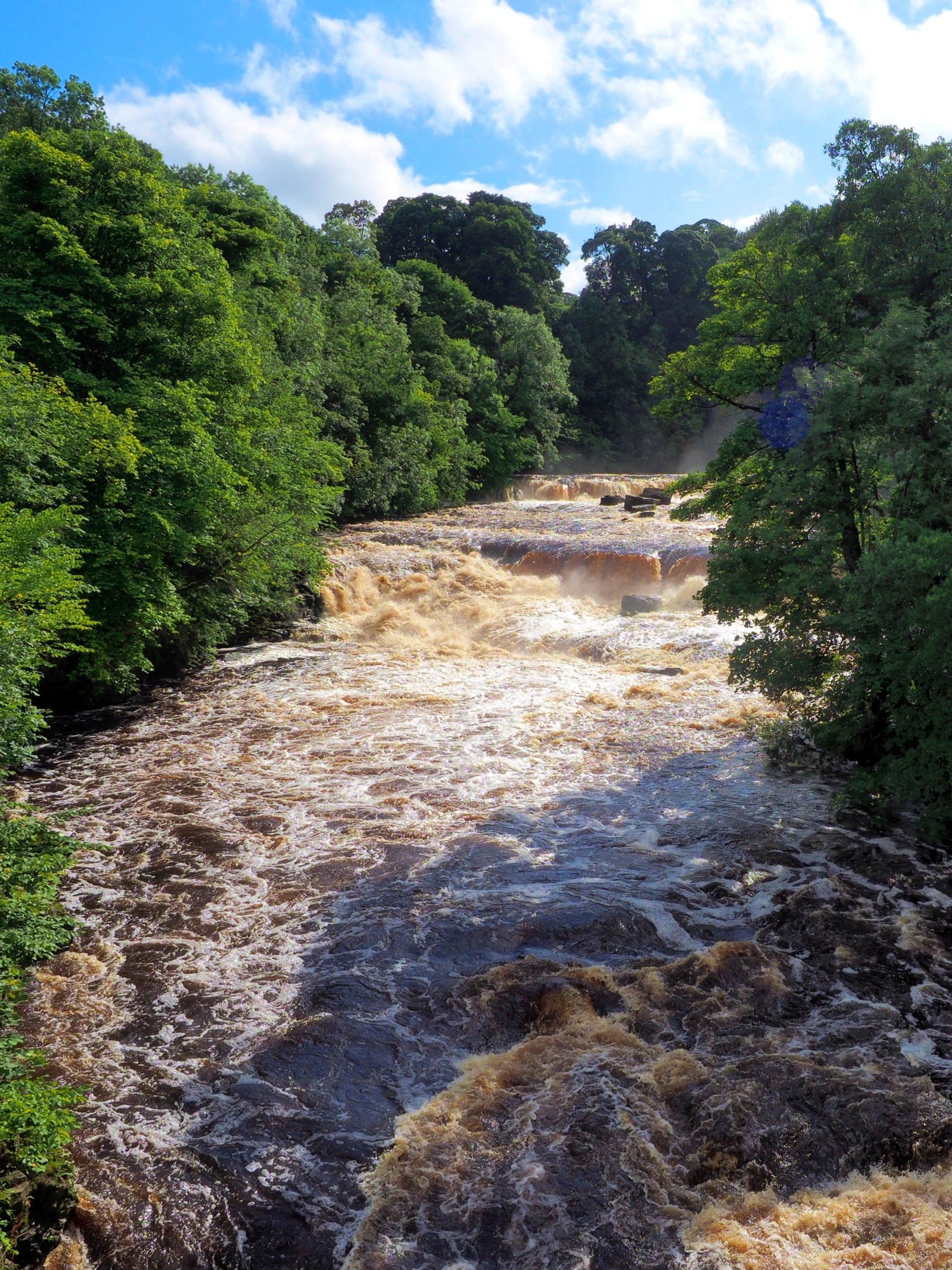 aysgarth falls on the river ure, upper force, yorkshire