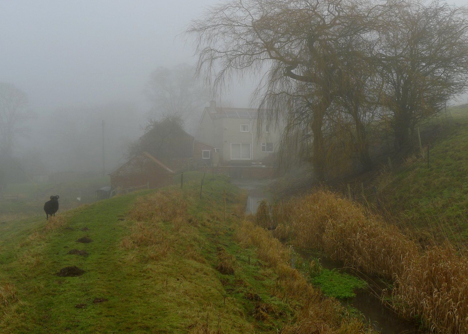Photo by: Graham Harrison binbrook mill in the fog