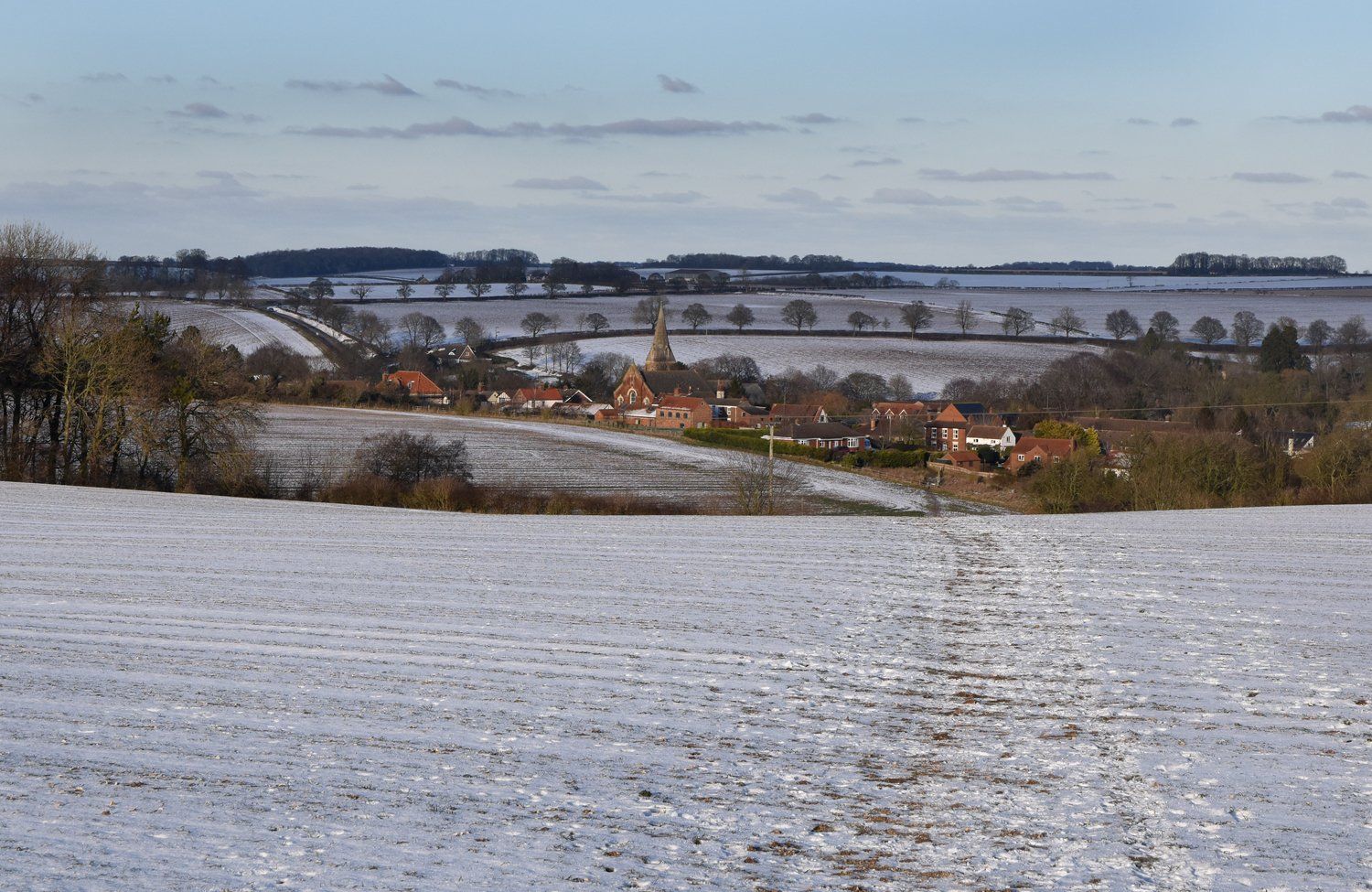snowy binbrook views