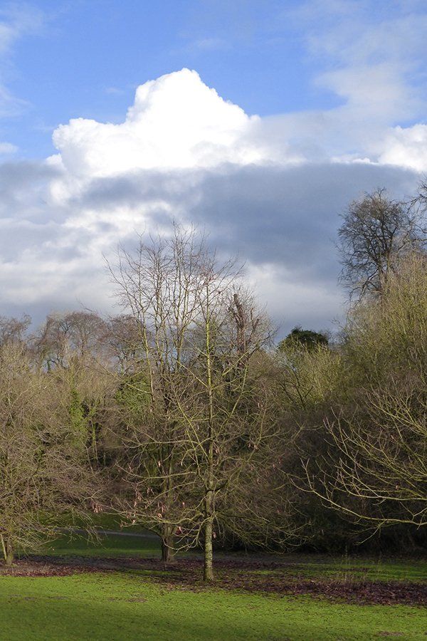 winter photos around hubbards hills, louth, lincolnshire