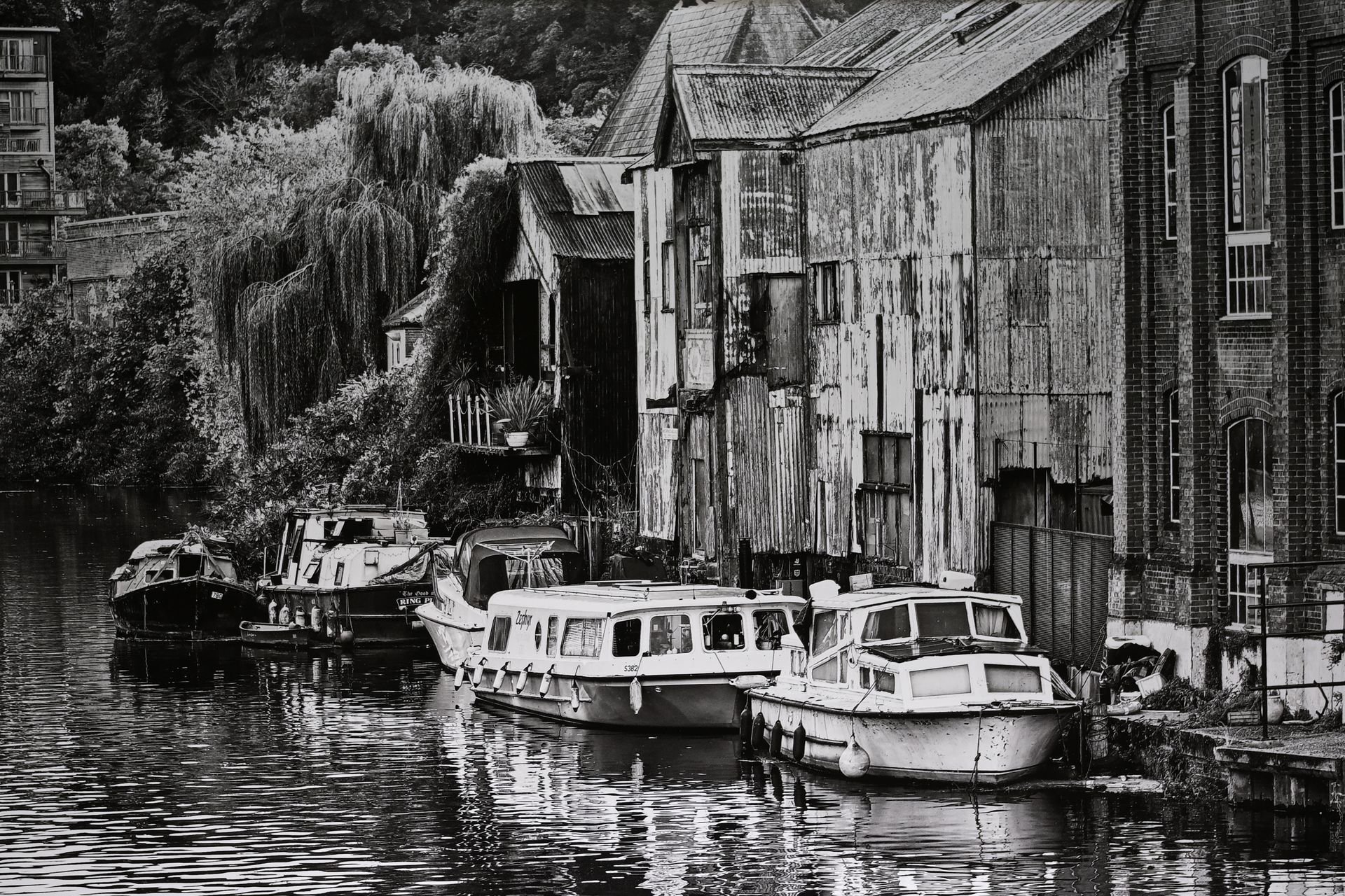 a monochrome view of moored boats