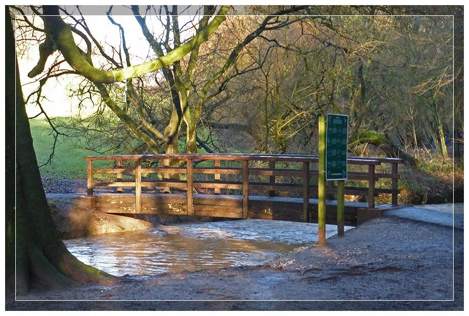 a wooden bridge over a stream