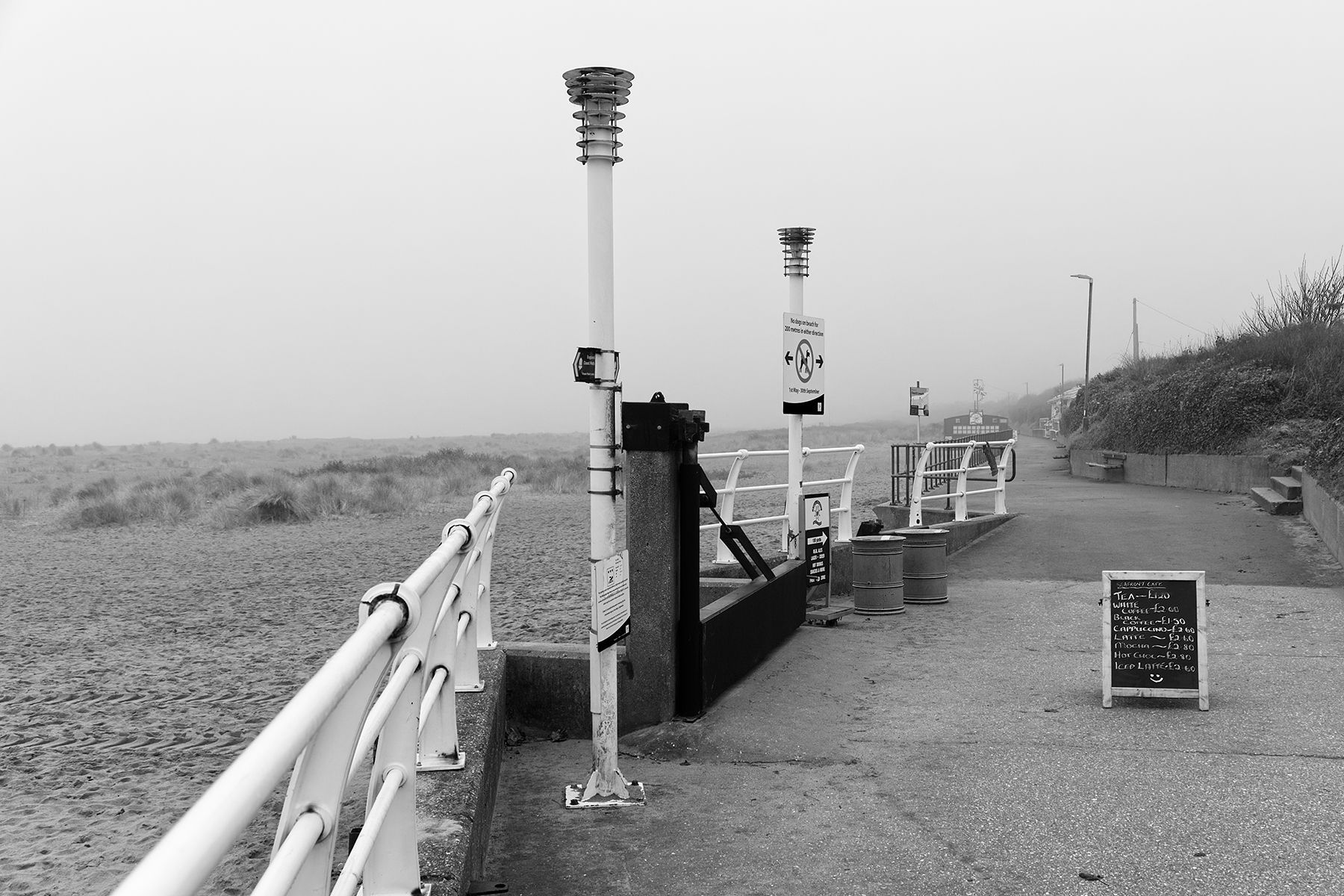 Stark beauty of a promenade in the mist