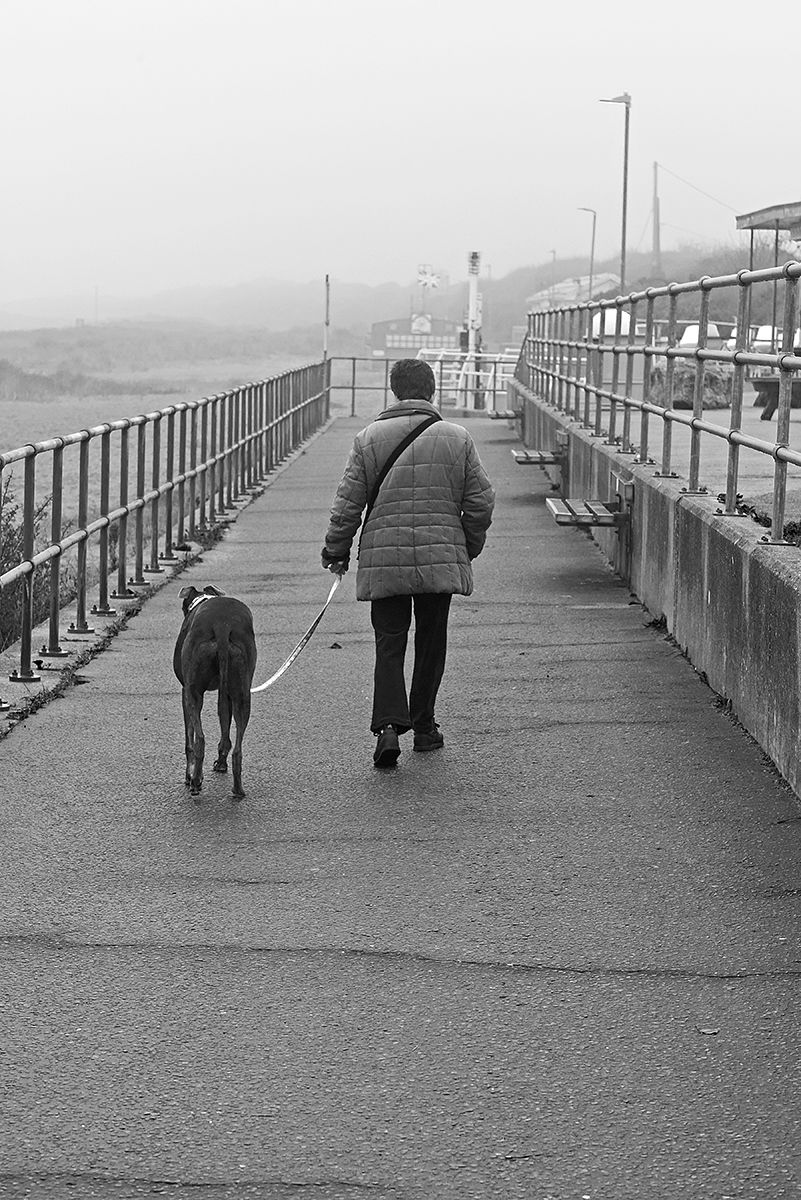 a person walking a dog in the coastal mist
