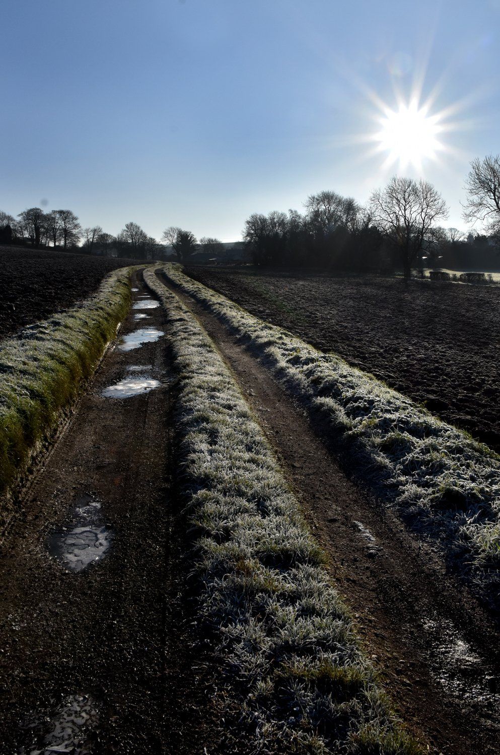 photographing directly into the sun, contre-jour photography